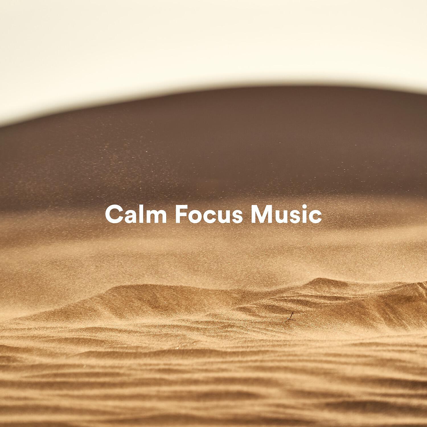 Релиз Calm Focus Music