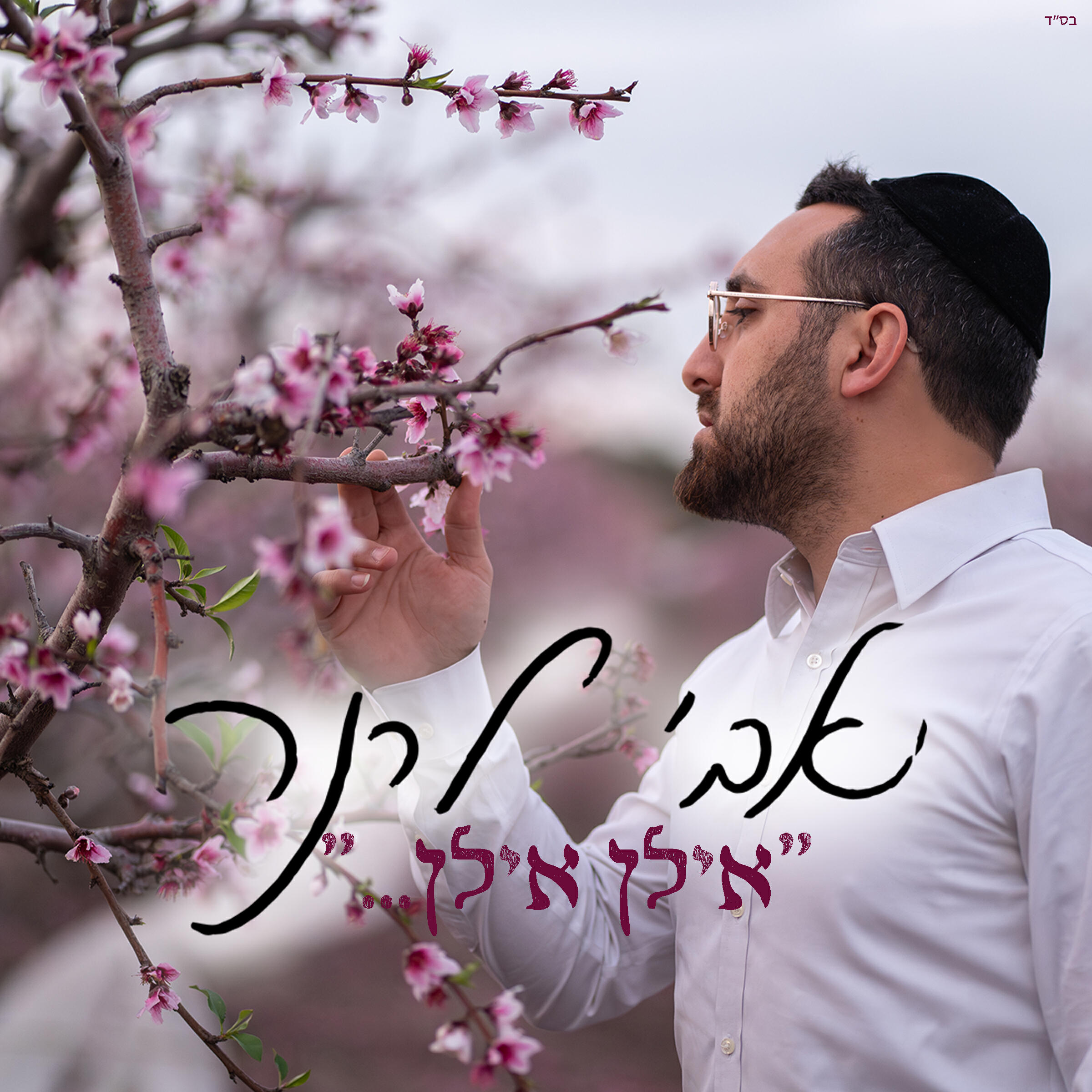 Релиз אילן אילן