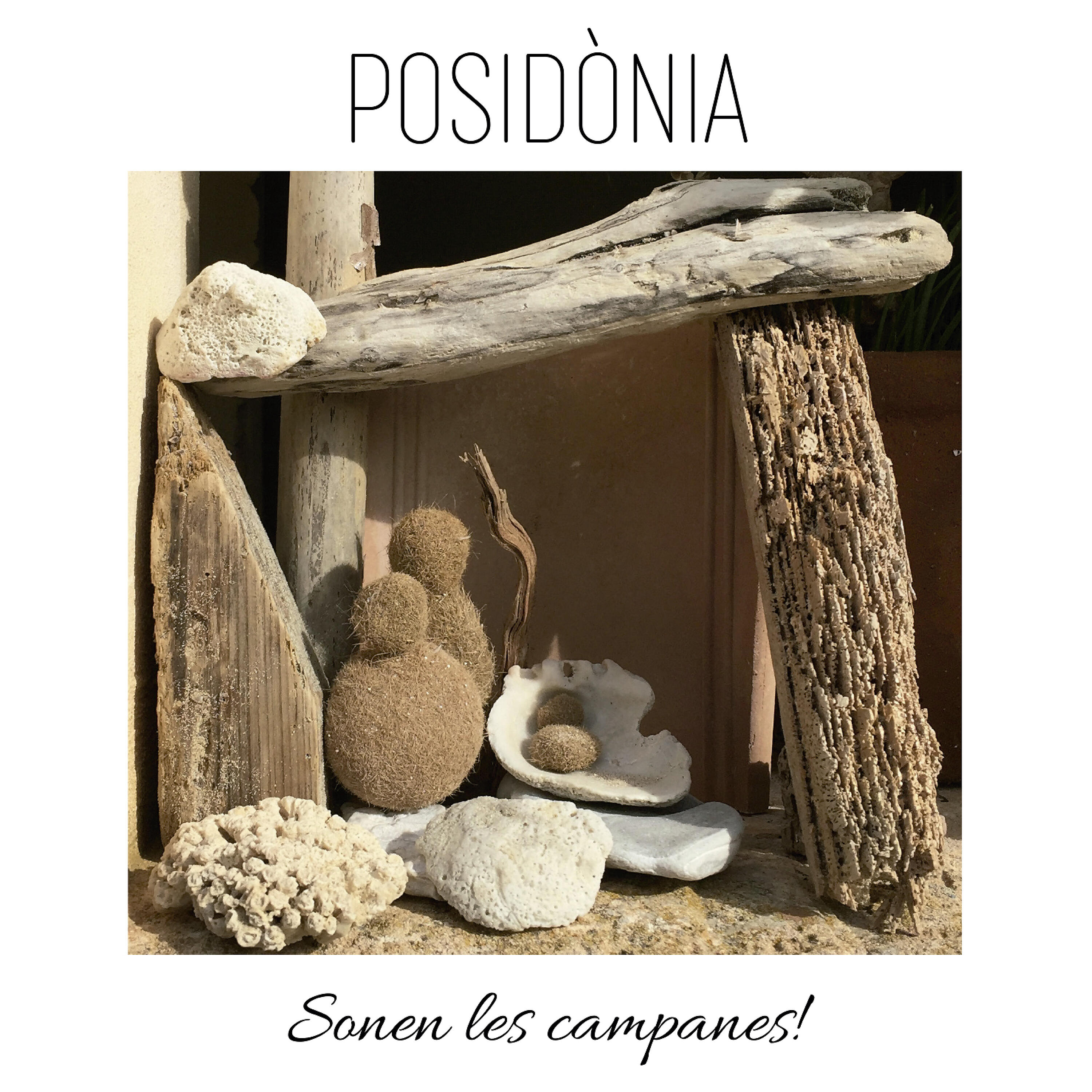 Posidònia