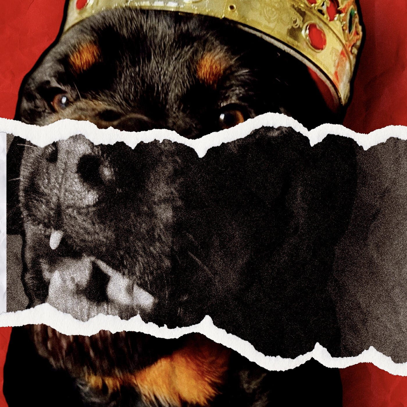 Релиз My Dawg