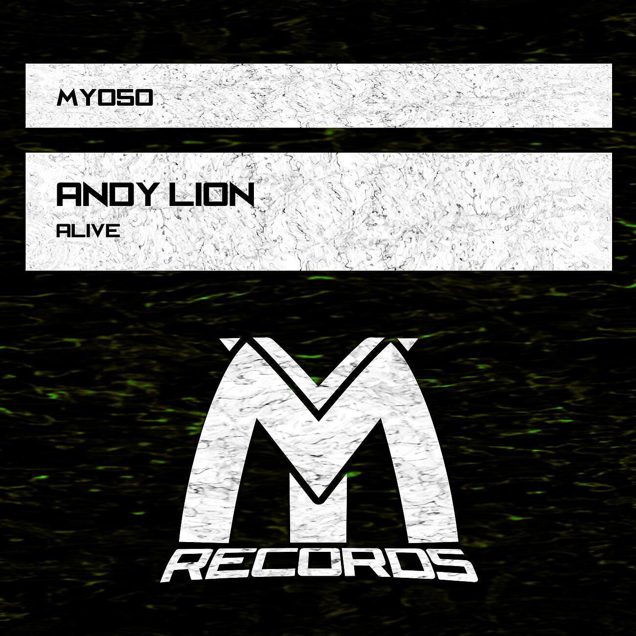 Andy Lion