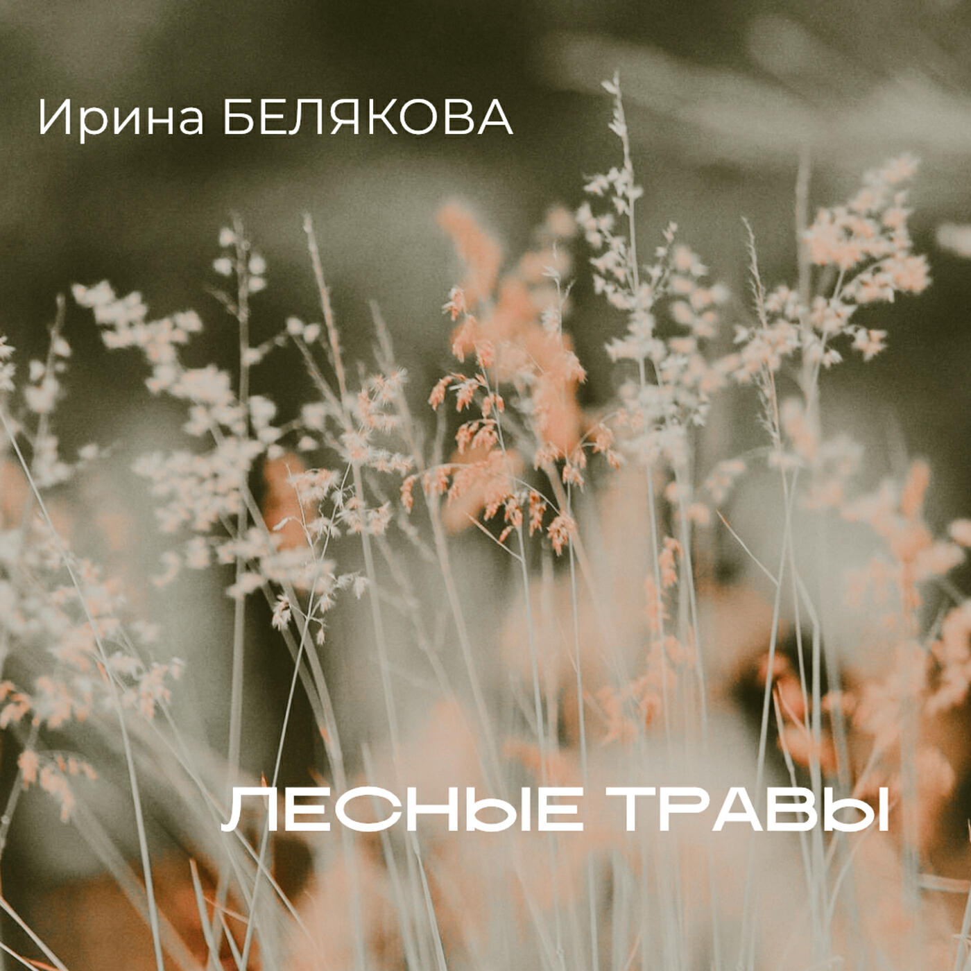 Постер альбома Лесные травы