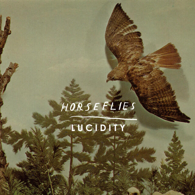 Релиз Lucidity