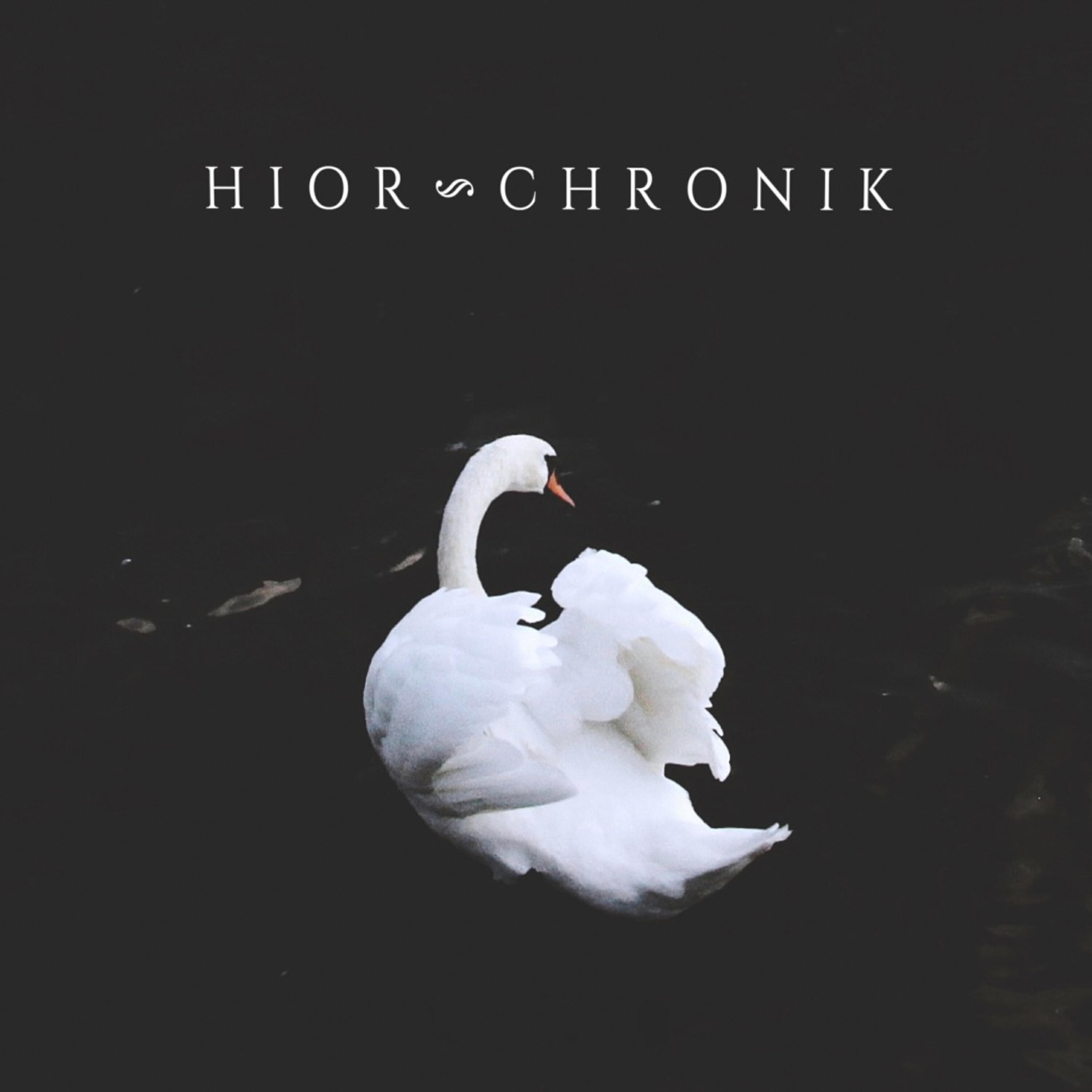 Релиз Sad Swan