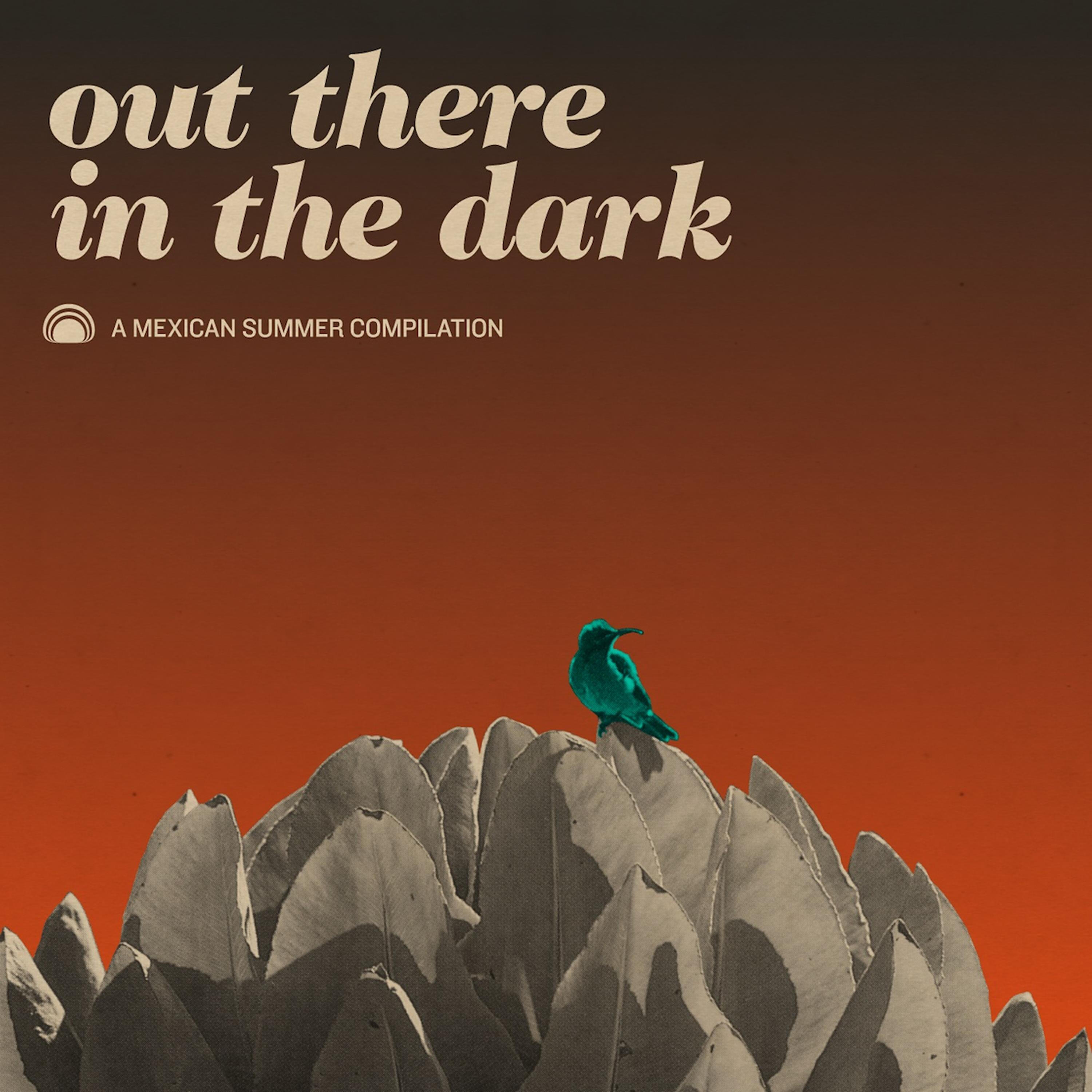 Релиз Out There in the Dark - A Mexican Summer Compilation