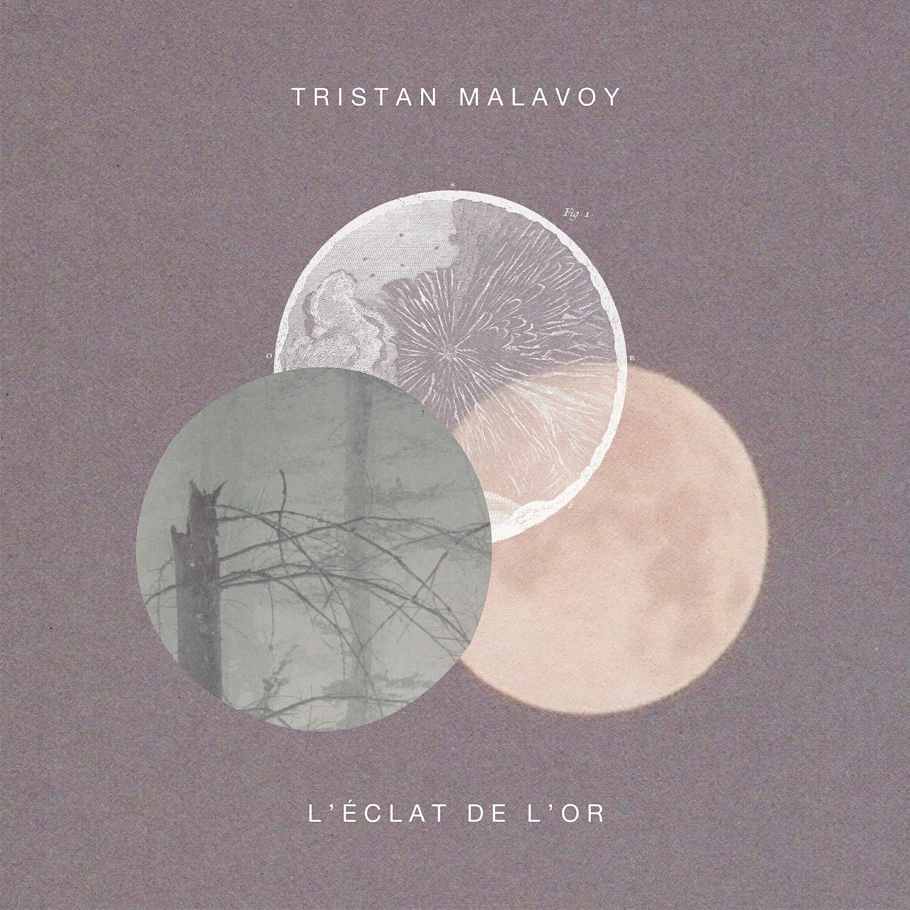 Tristan Malavoy