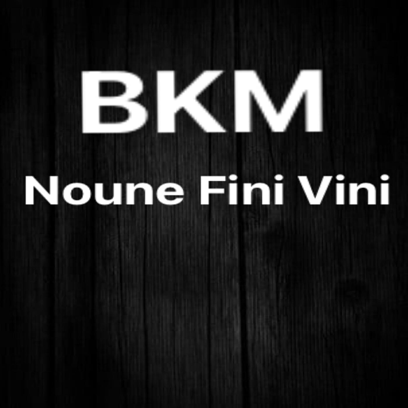 Релиз Noune Fini Vini