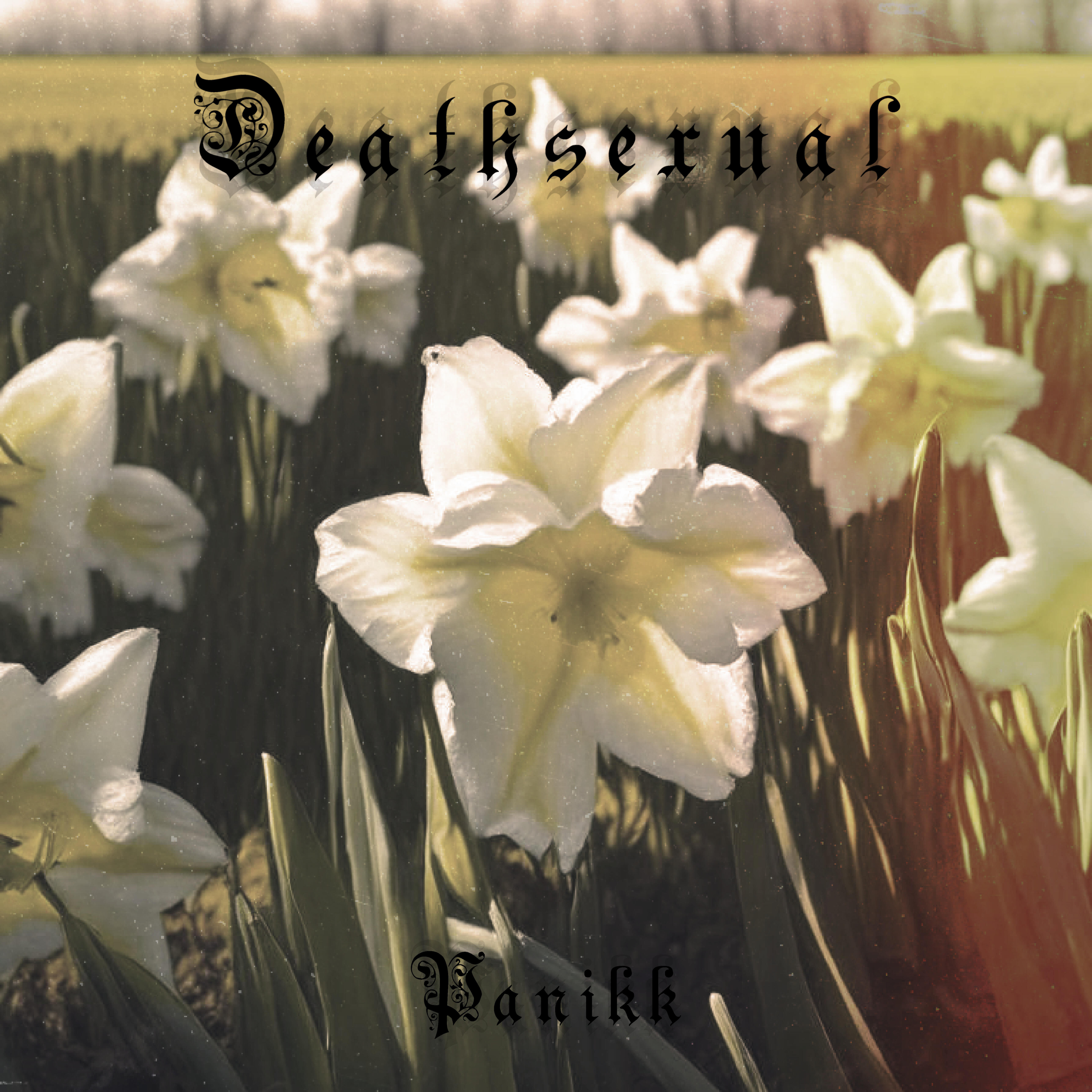 Релиз Panikk