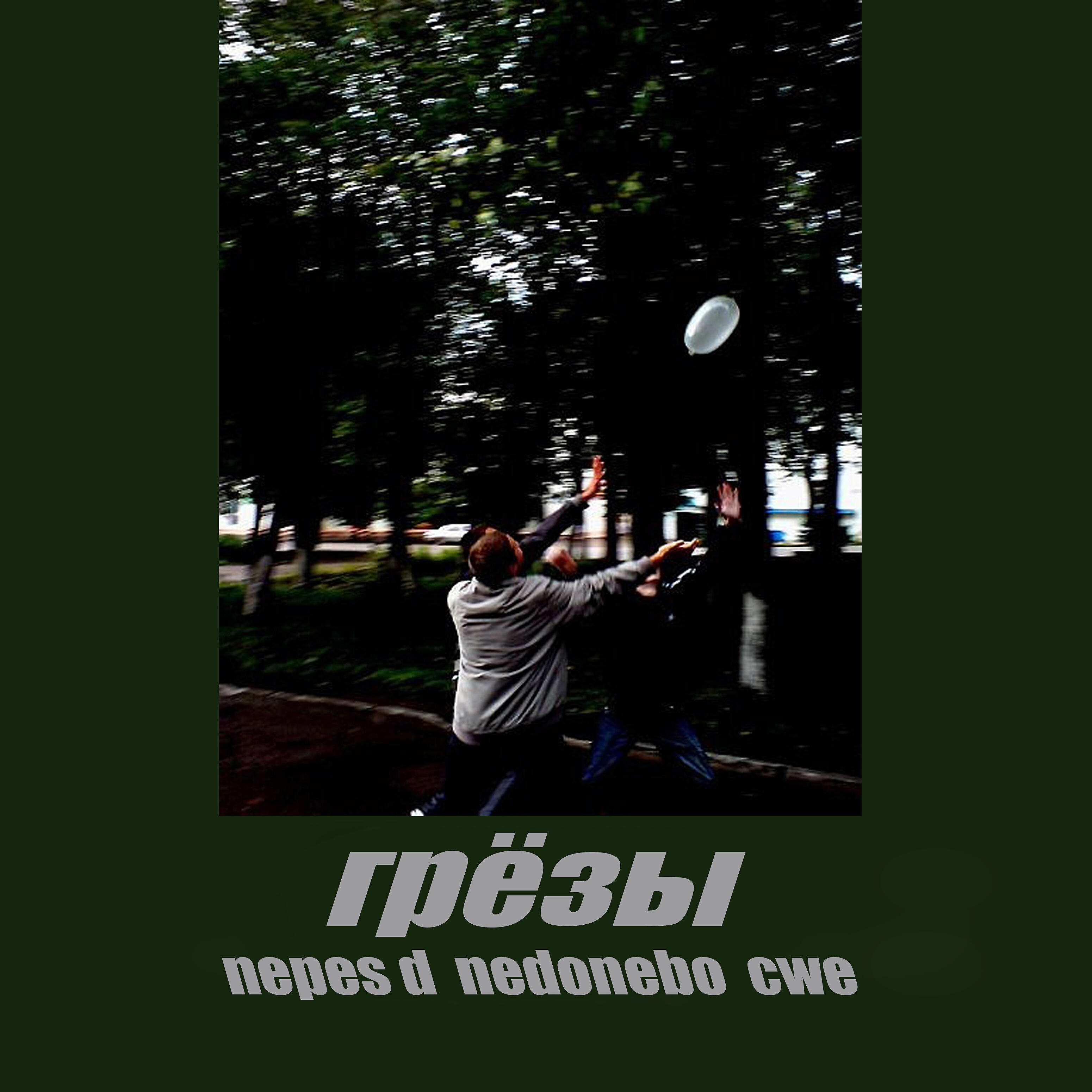 Nepes D