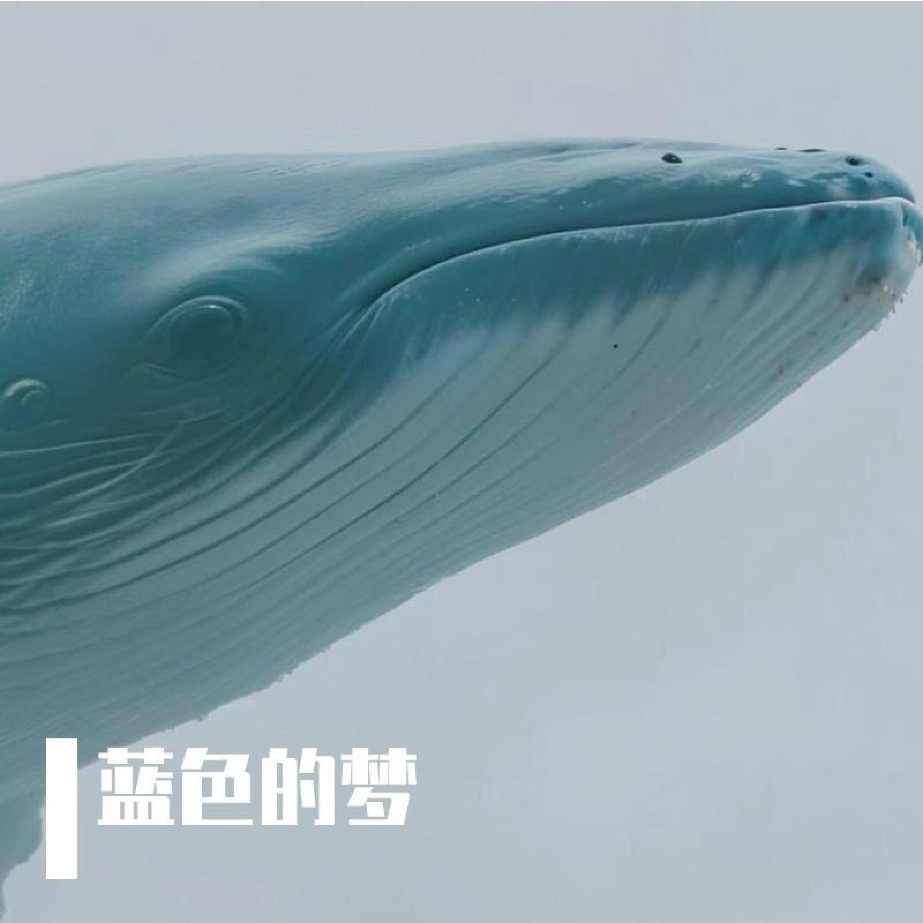 烧饼王