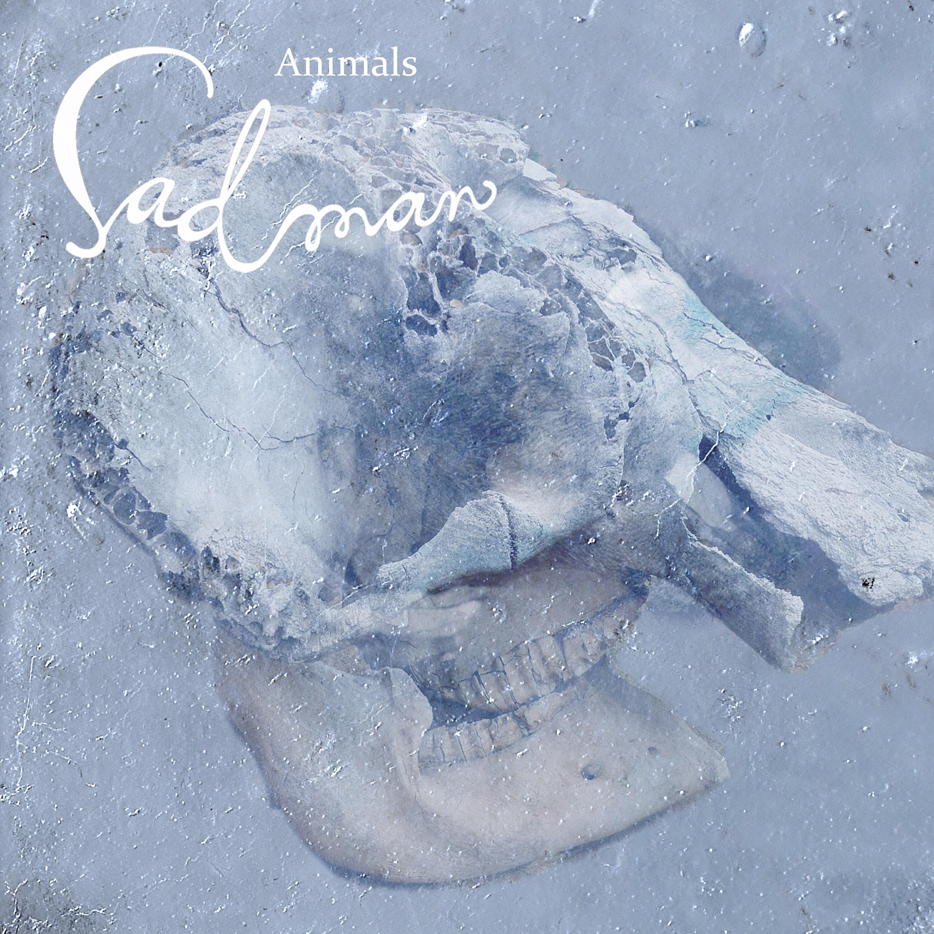 Релиз Animals