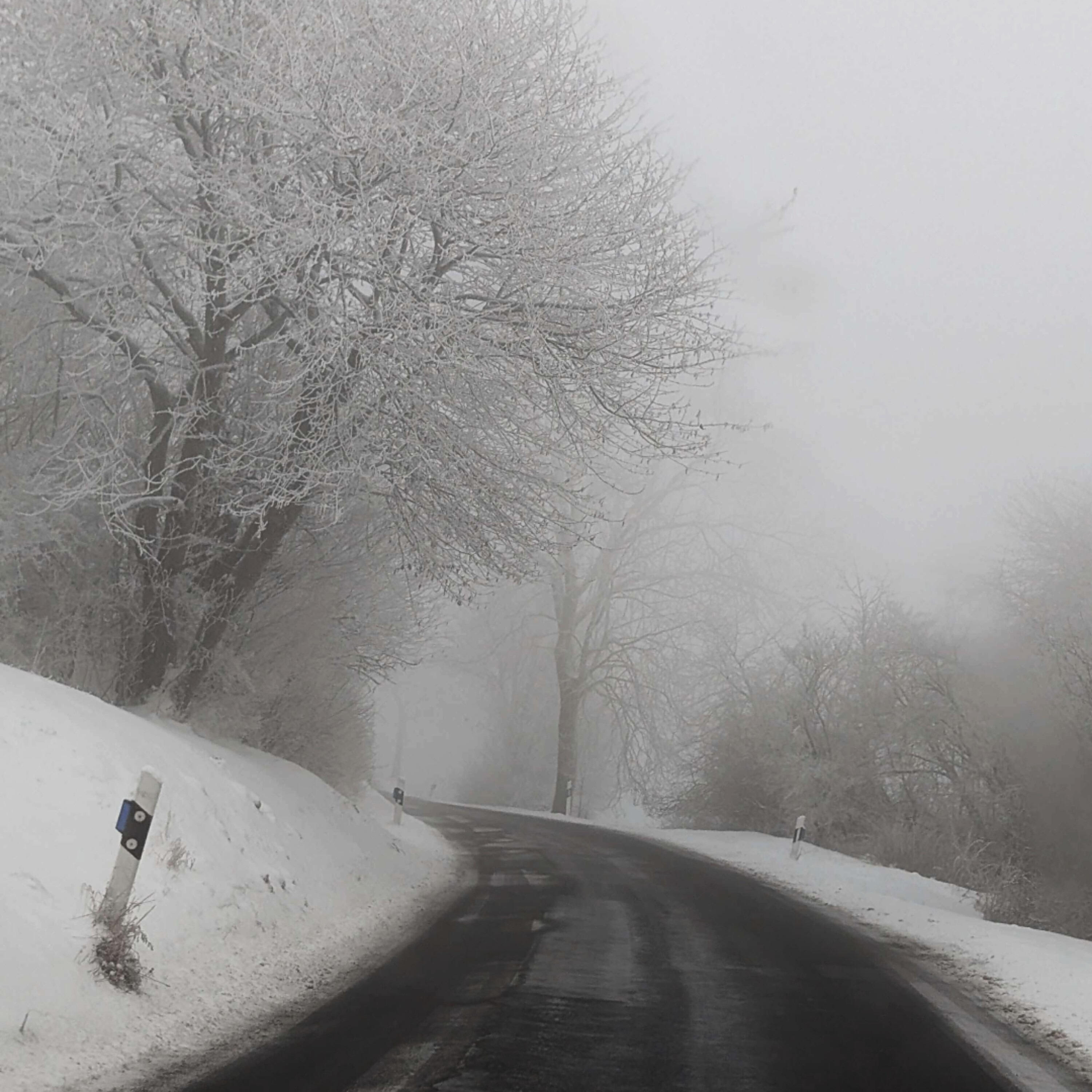 Релиз frost.
