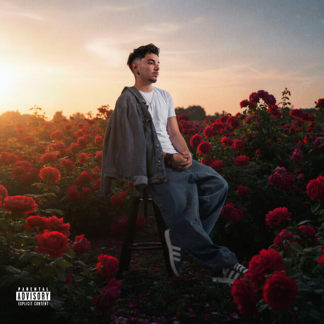 Релиз Rose Garden