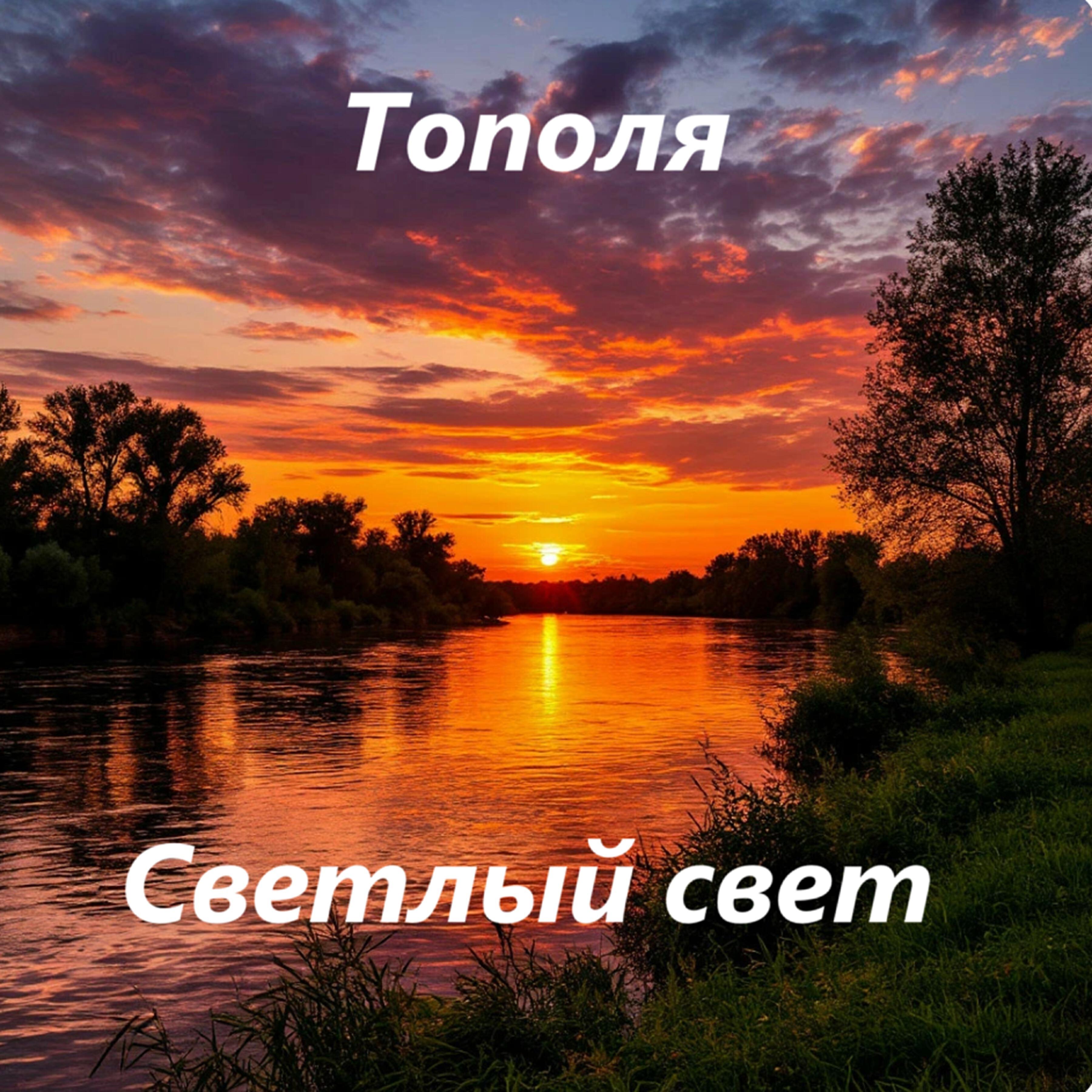 Постер альбома Тополя