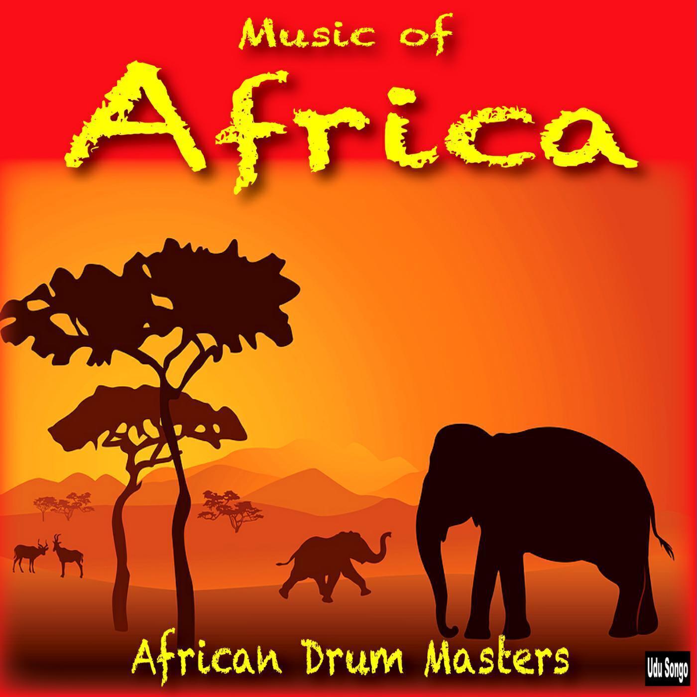 African Drum Masters