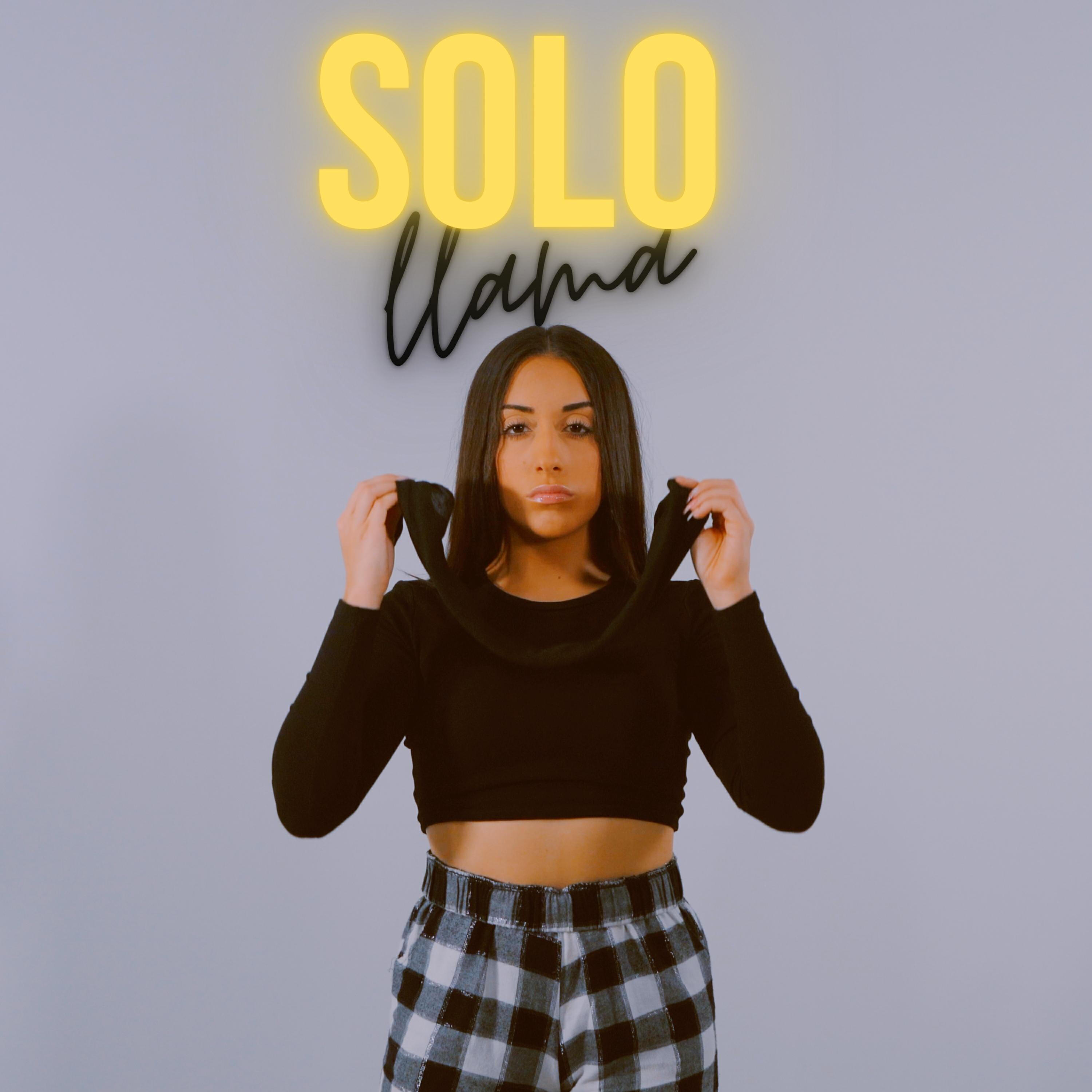 Релиз Solo Llama