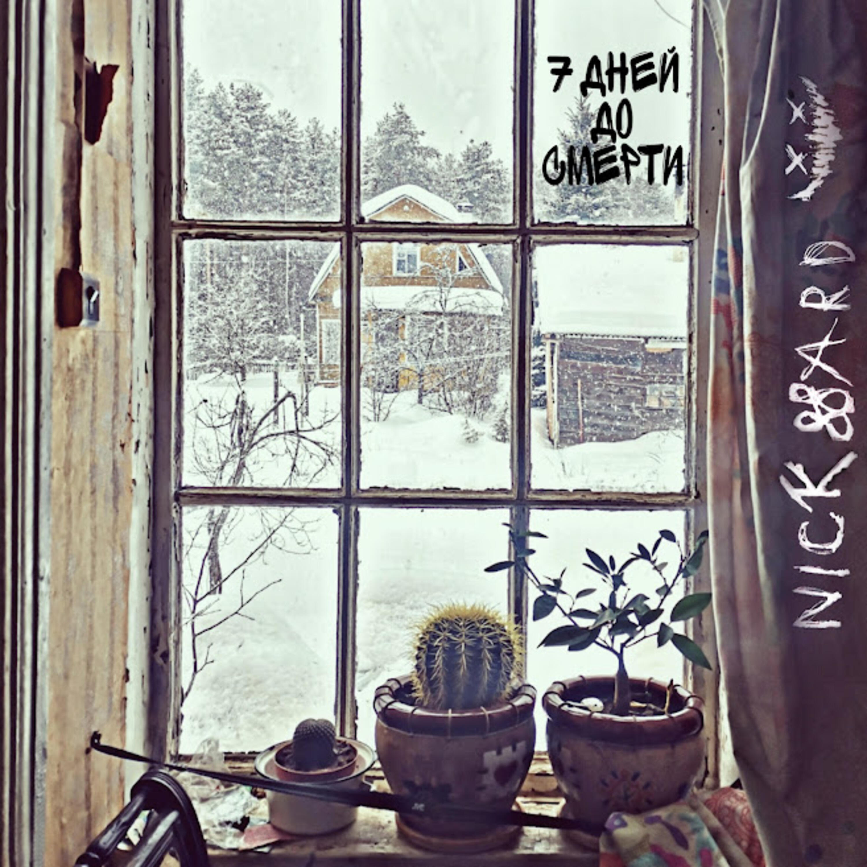 Релиз 7 дней до смерти