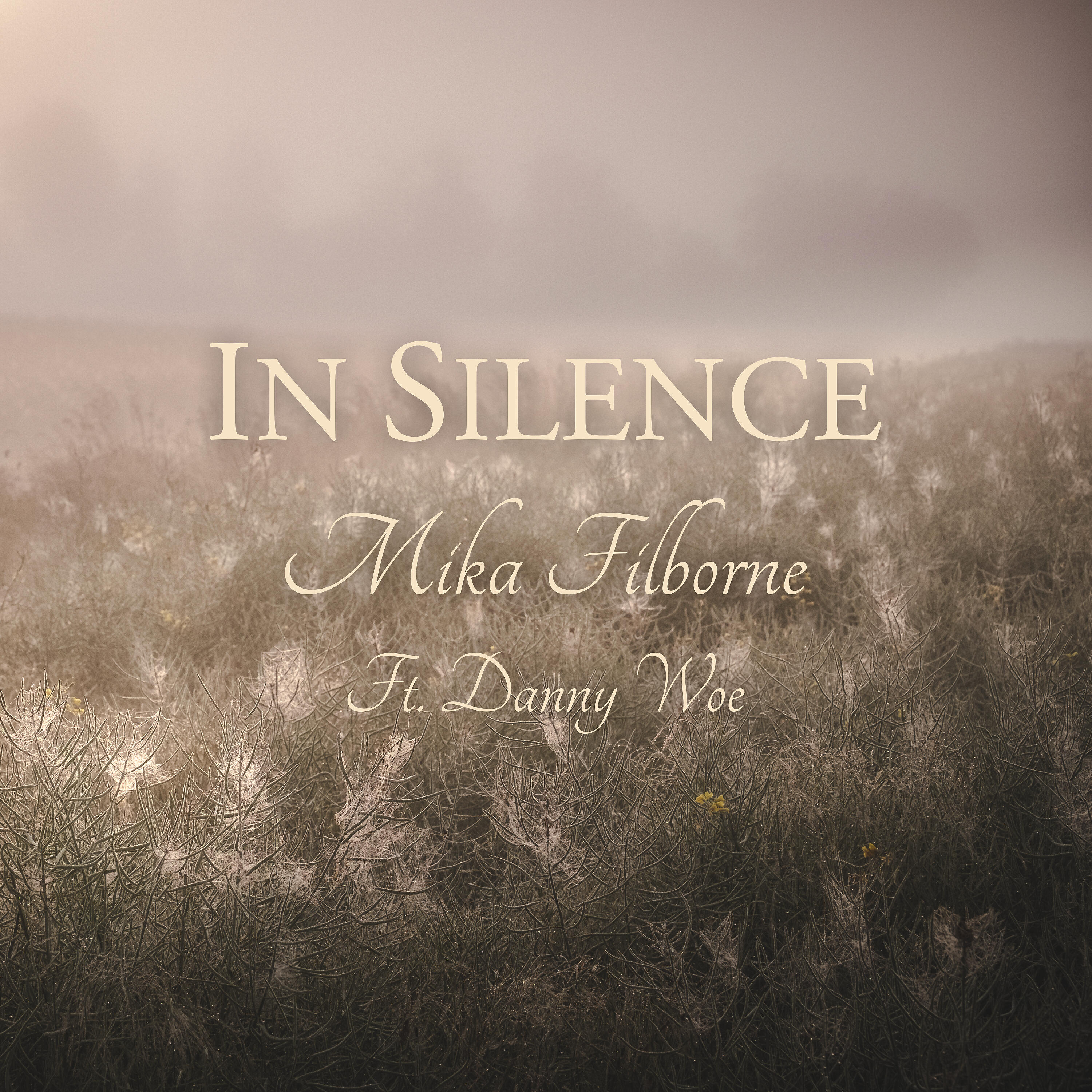 Релиз In Silence