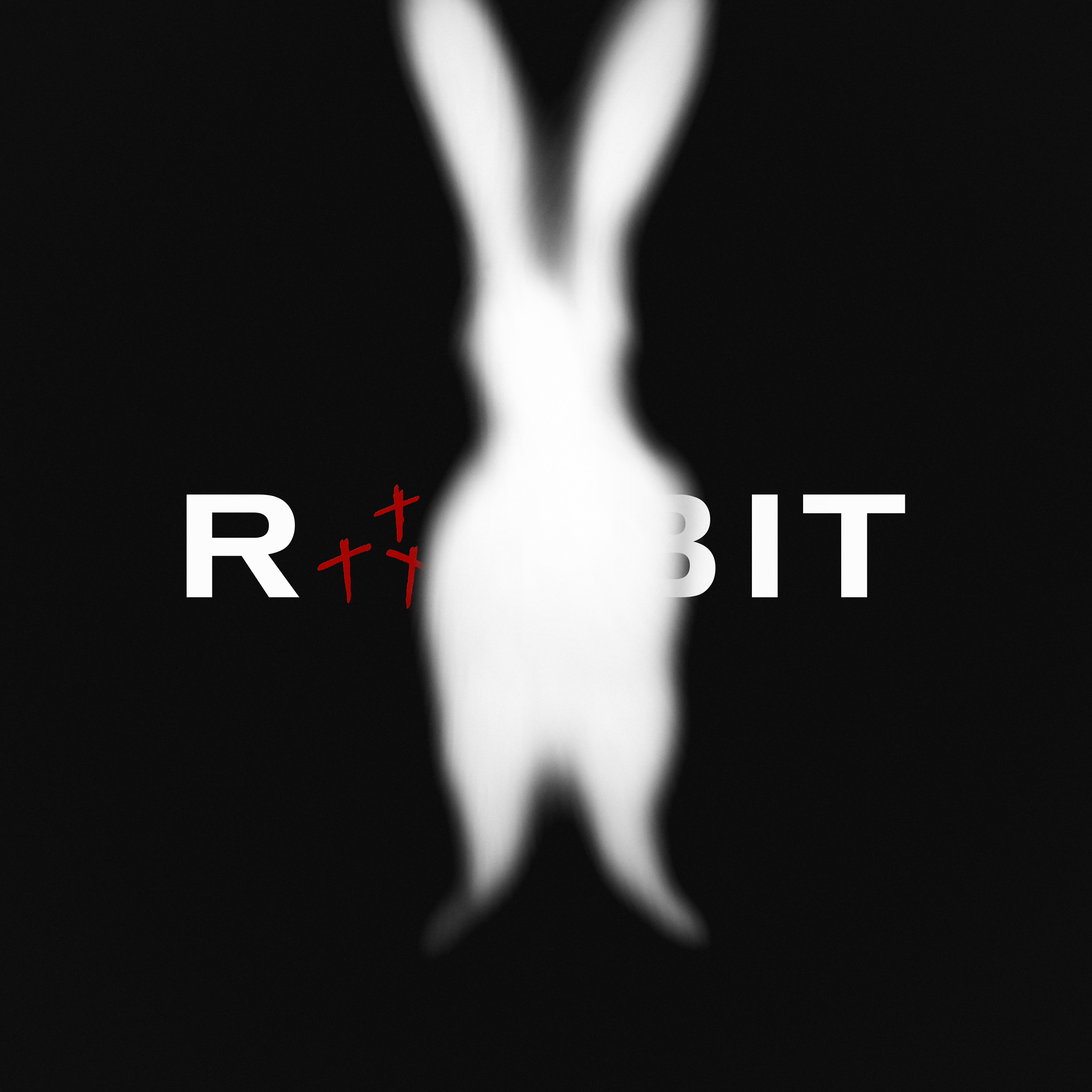 Релиз Rabbit