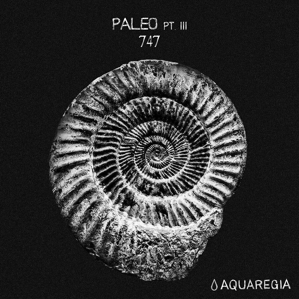 Релиз Paleo, Pt. 3