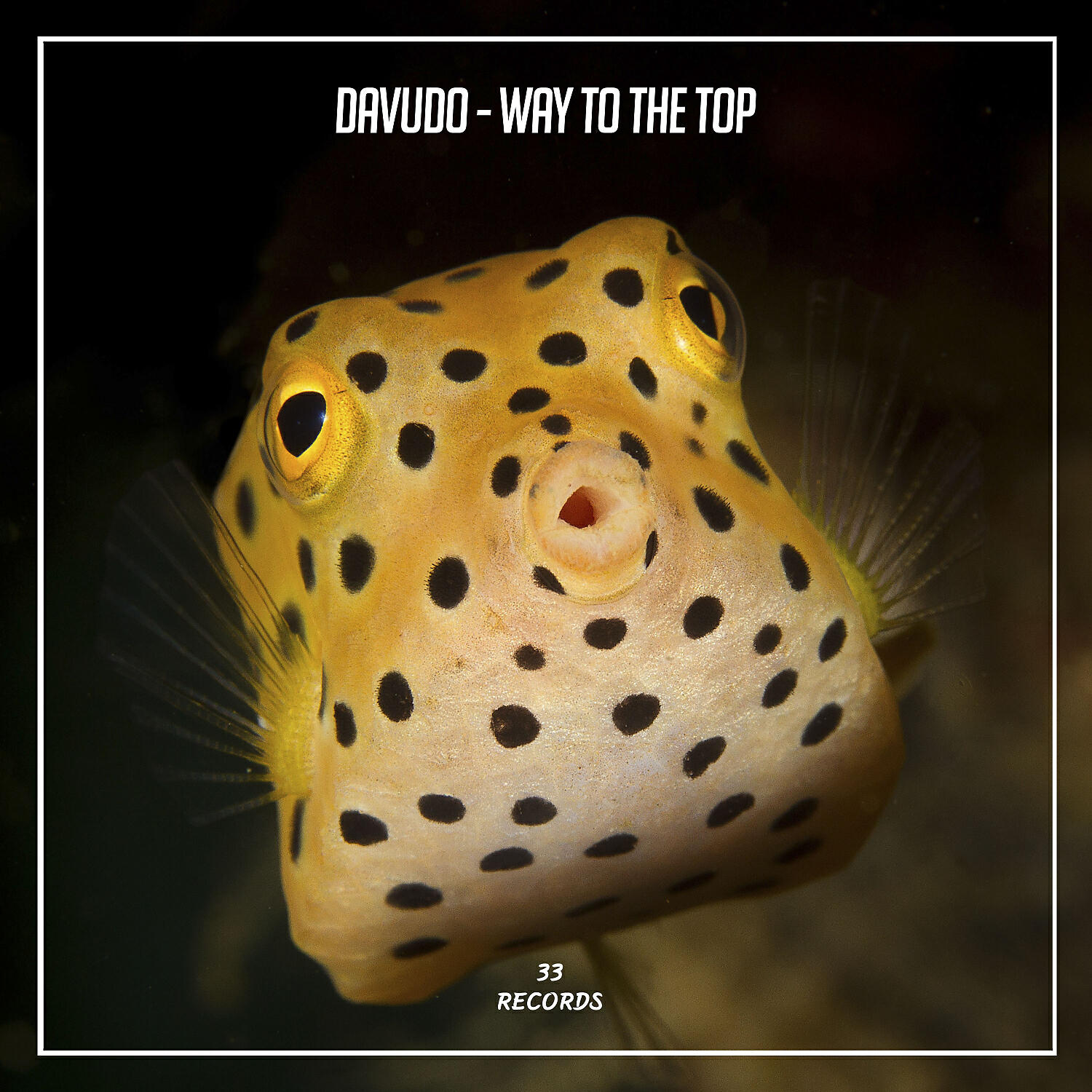 Релиз Way to the Top