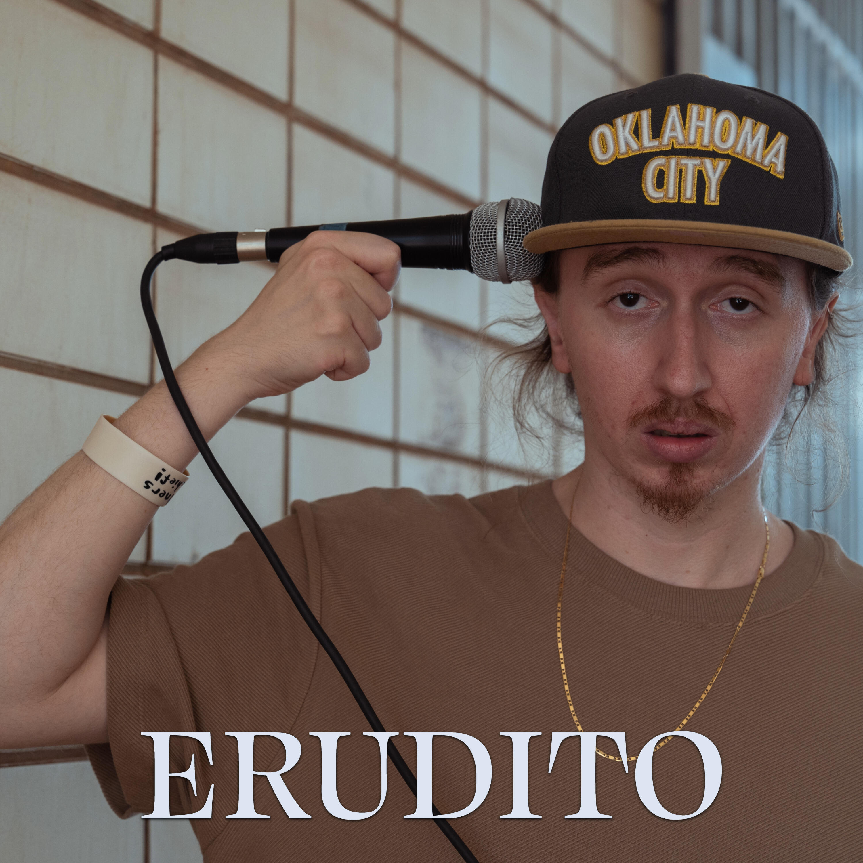 Релиз Erudito