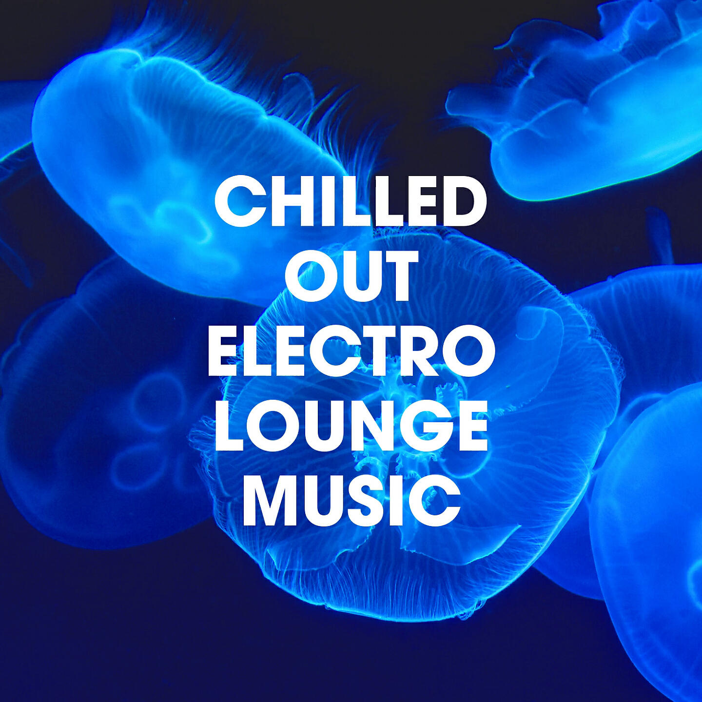 Релиз Chilled Out Electro Lounge Music