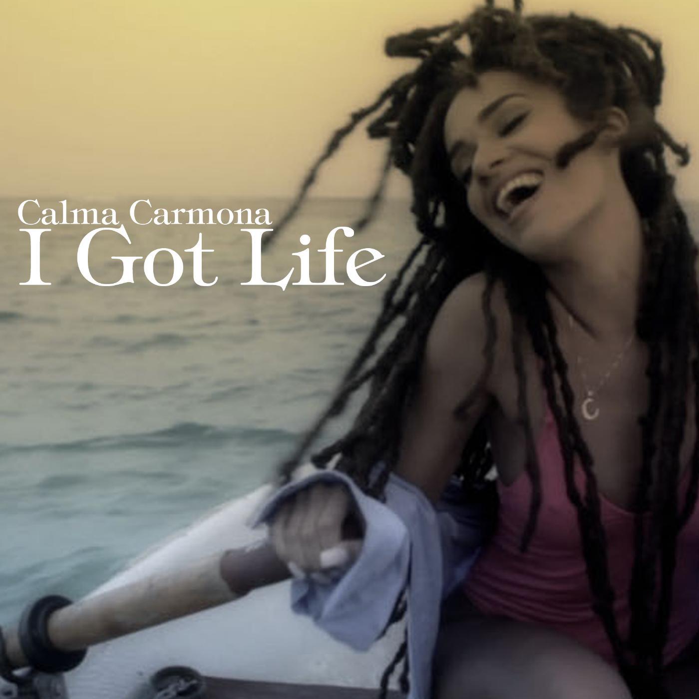 Релиз I Got Life