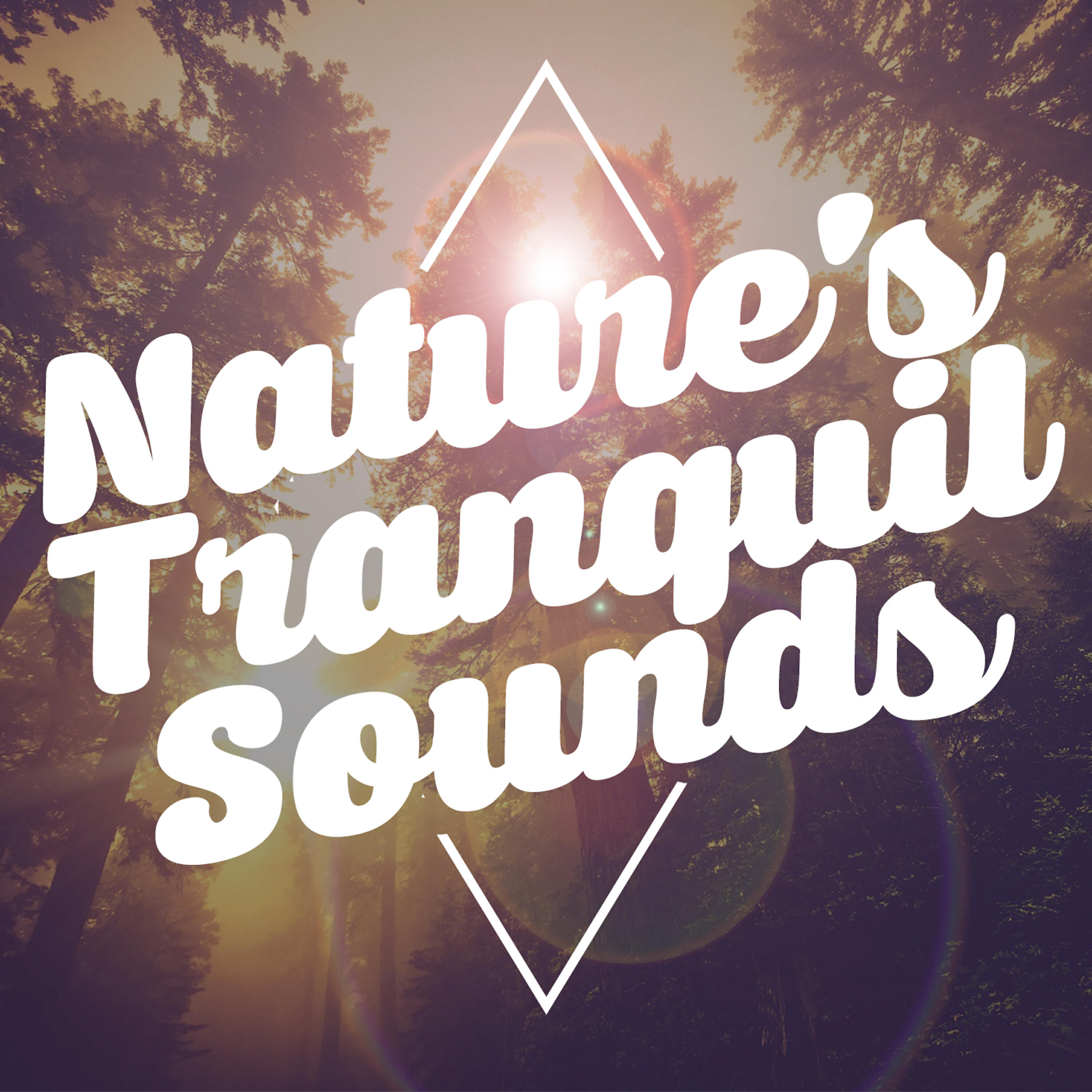 Релиз Nature's Tranquil Sounds