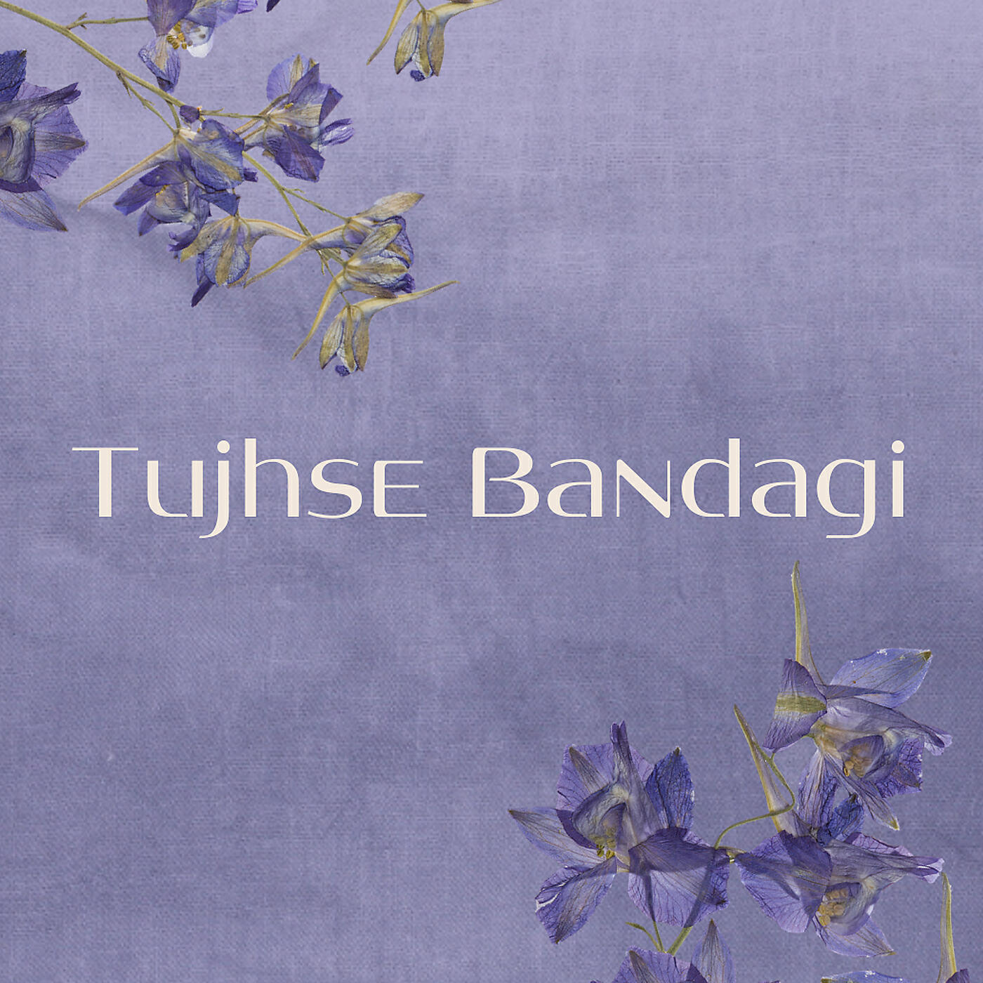 Релиз Tujhse Bandagi