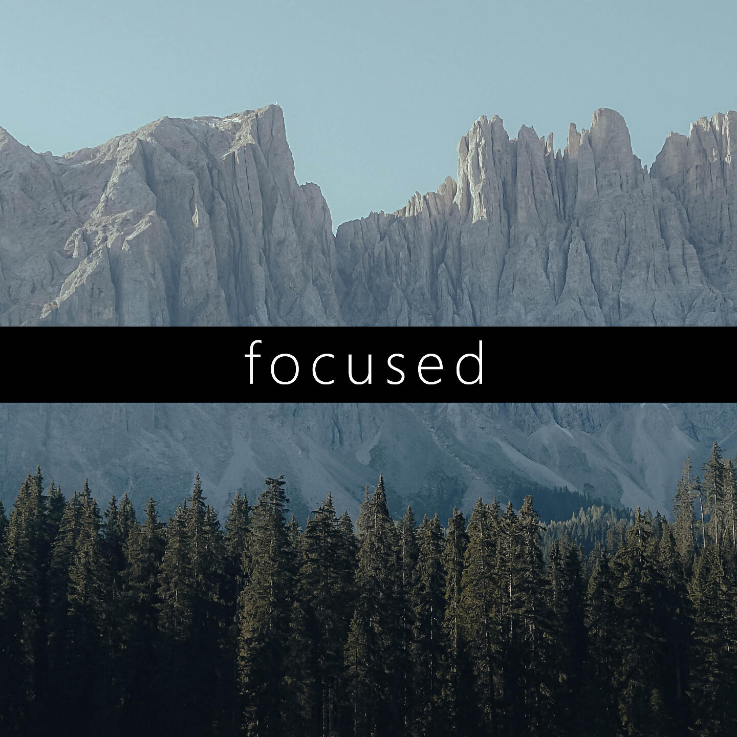 Релиз focused
