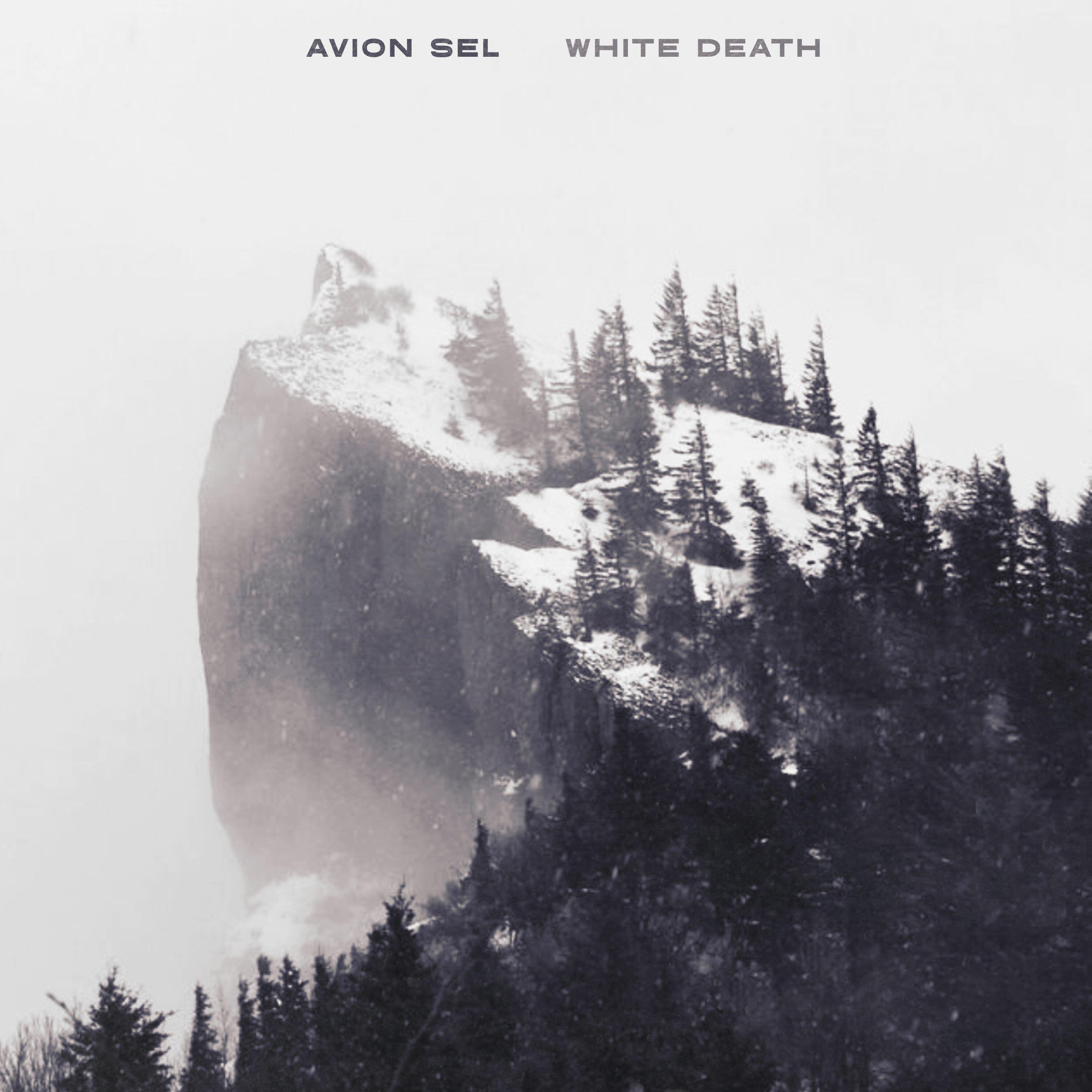 Avion Sel