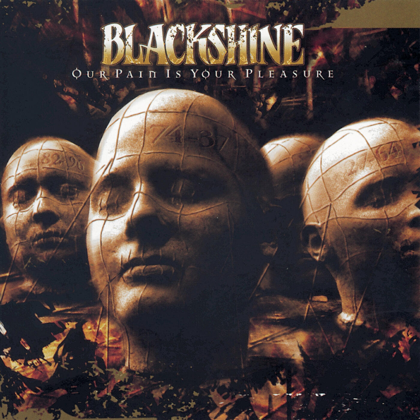 Релиз Our Pain Is Your Pleasure