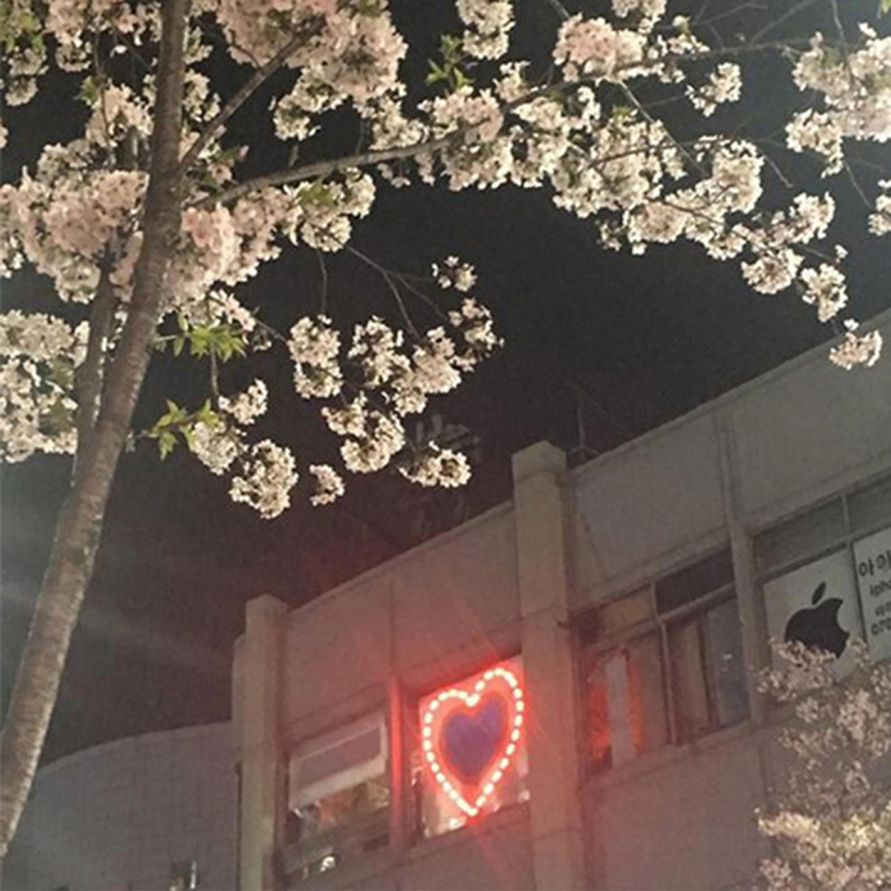 Релиз luv <3