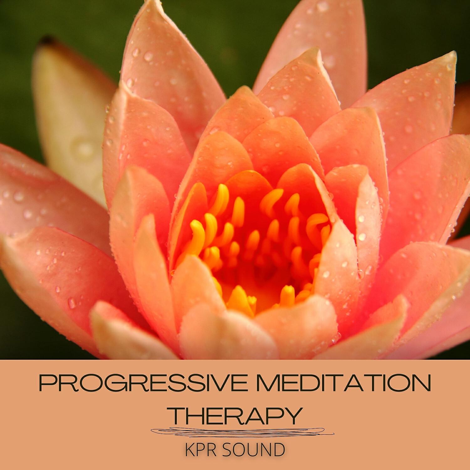 Релиз Progressive Meditation Therapy