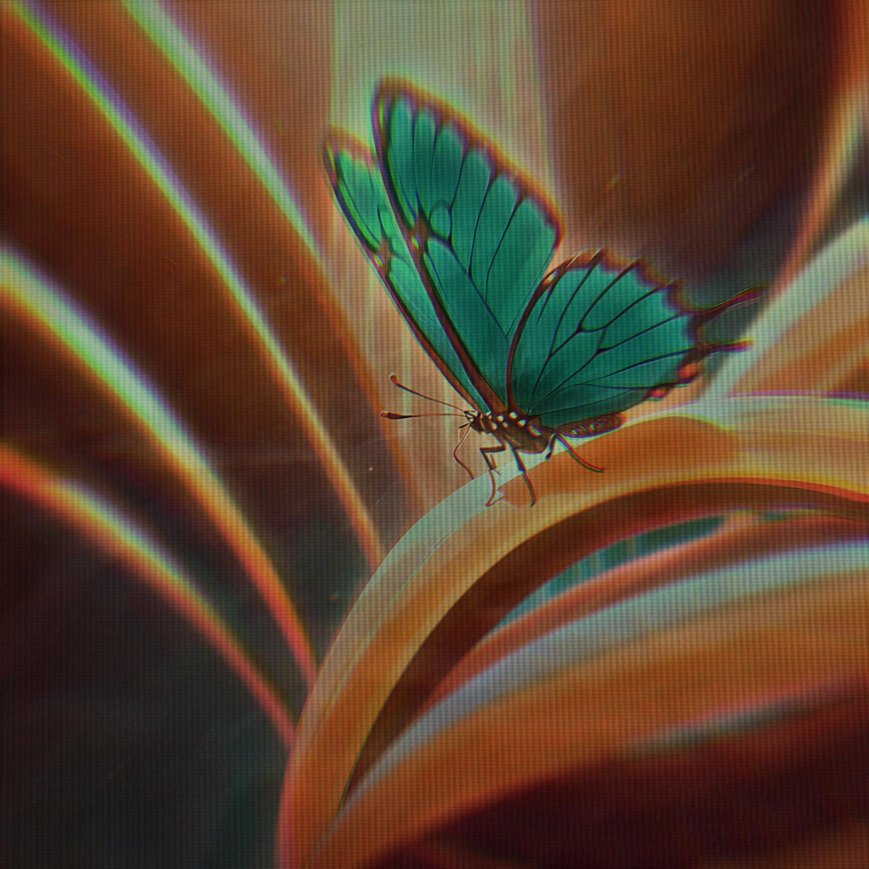 Релиз Metamorphosis 2