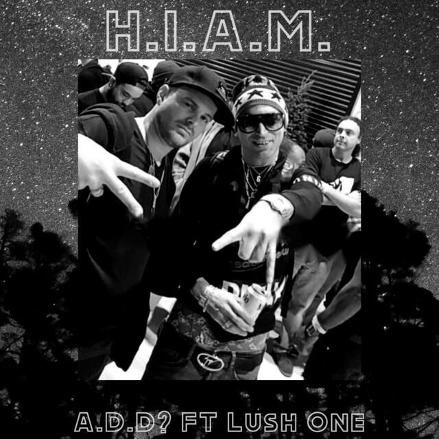 Релиз H.I.A.M.