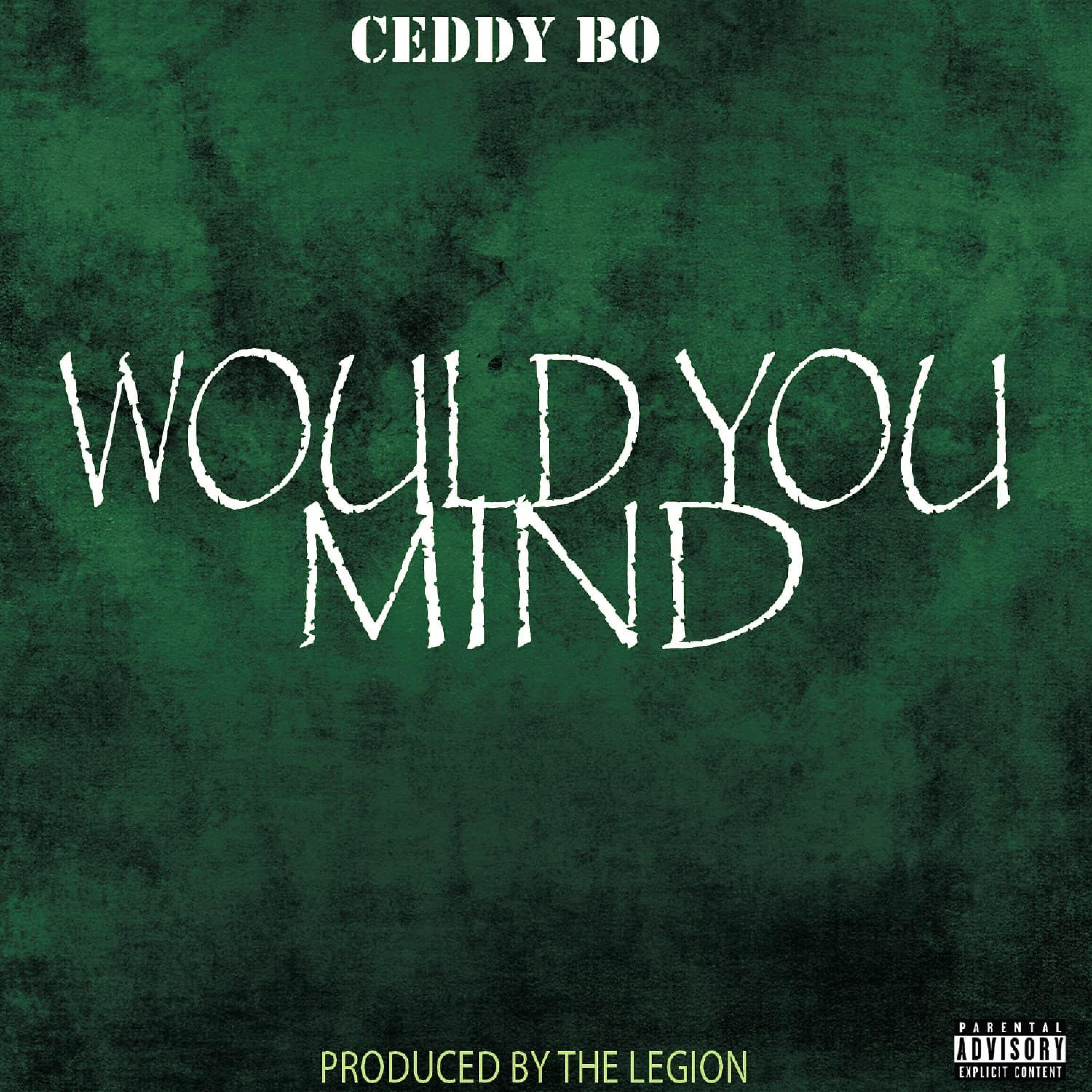 Релиз Would You Mind