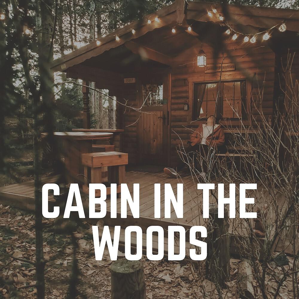 Релиз Cabin in the Woods