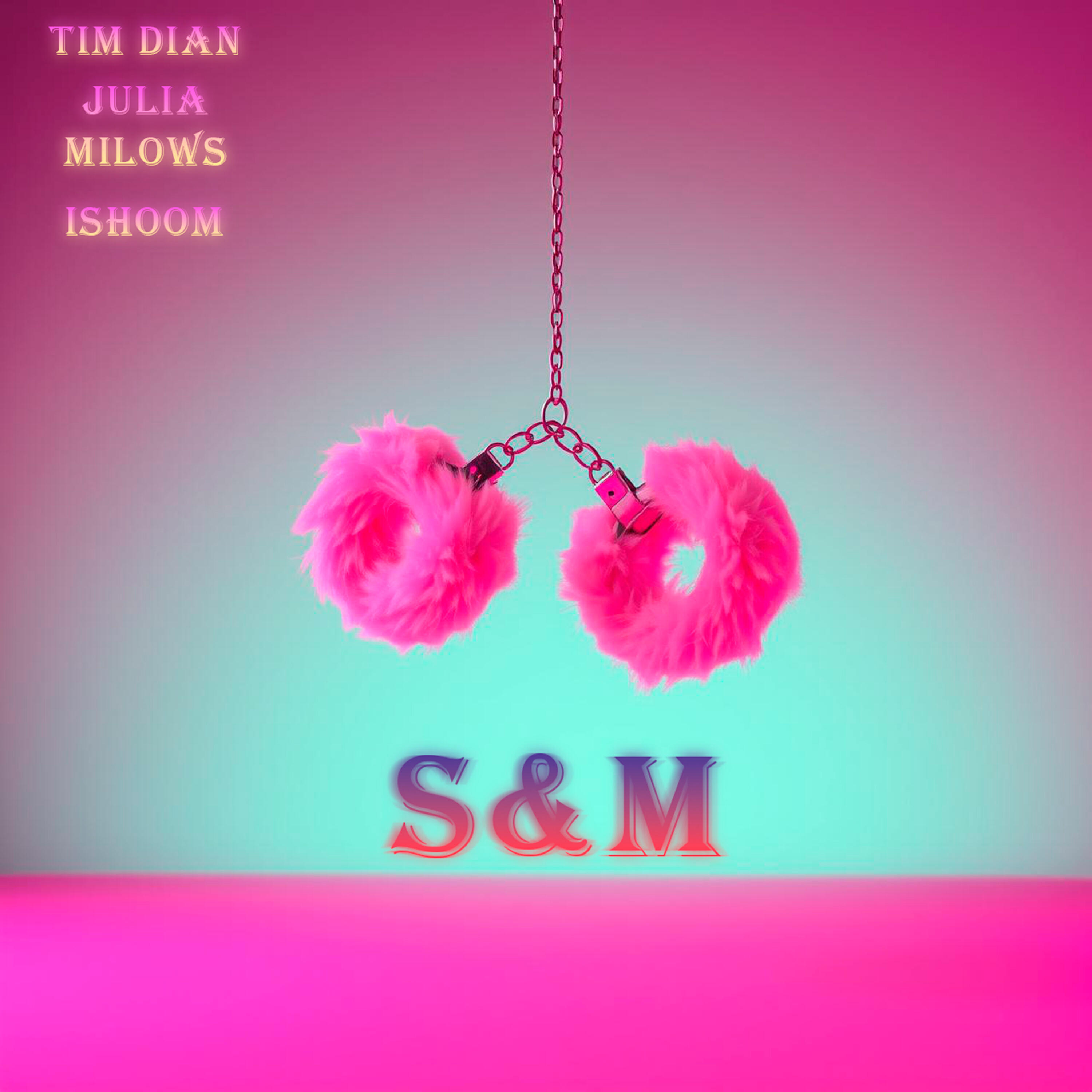 Постер альбома S&M