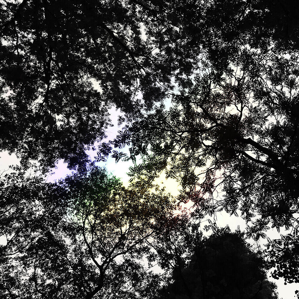 Релиз light leaks