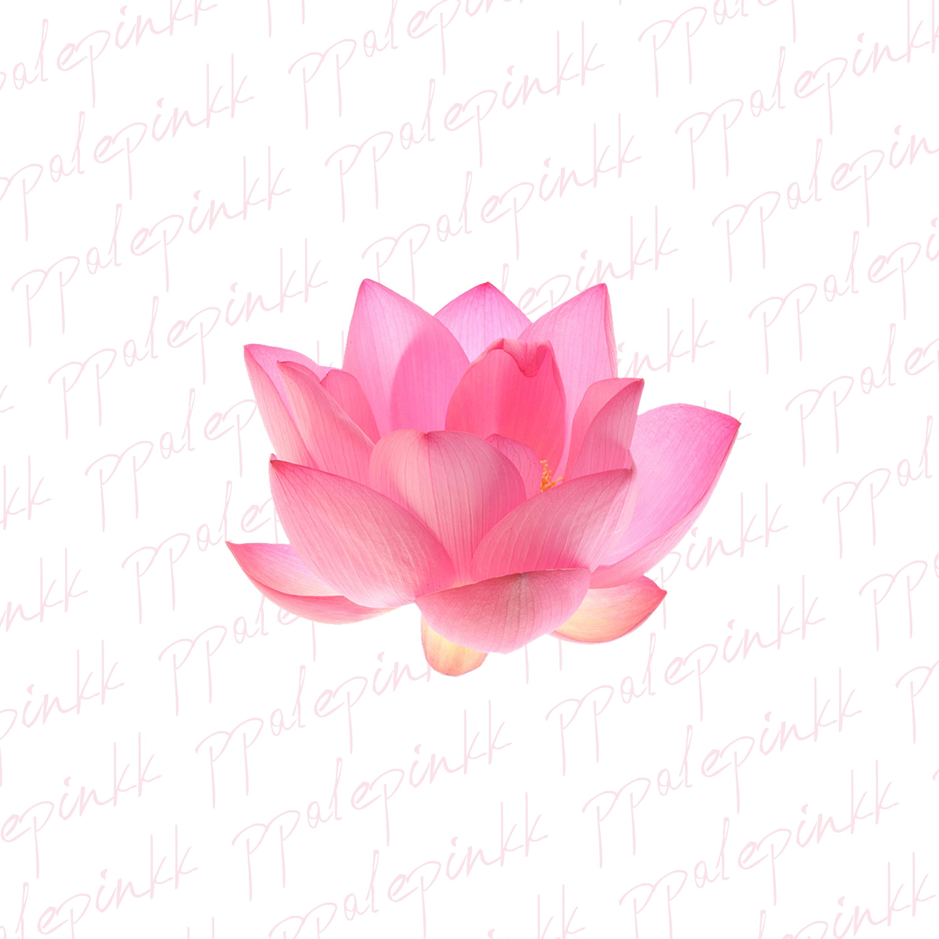 Релиз лотос (prod. by moonlight)