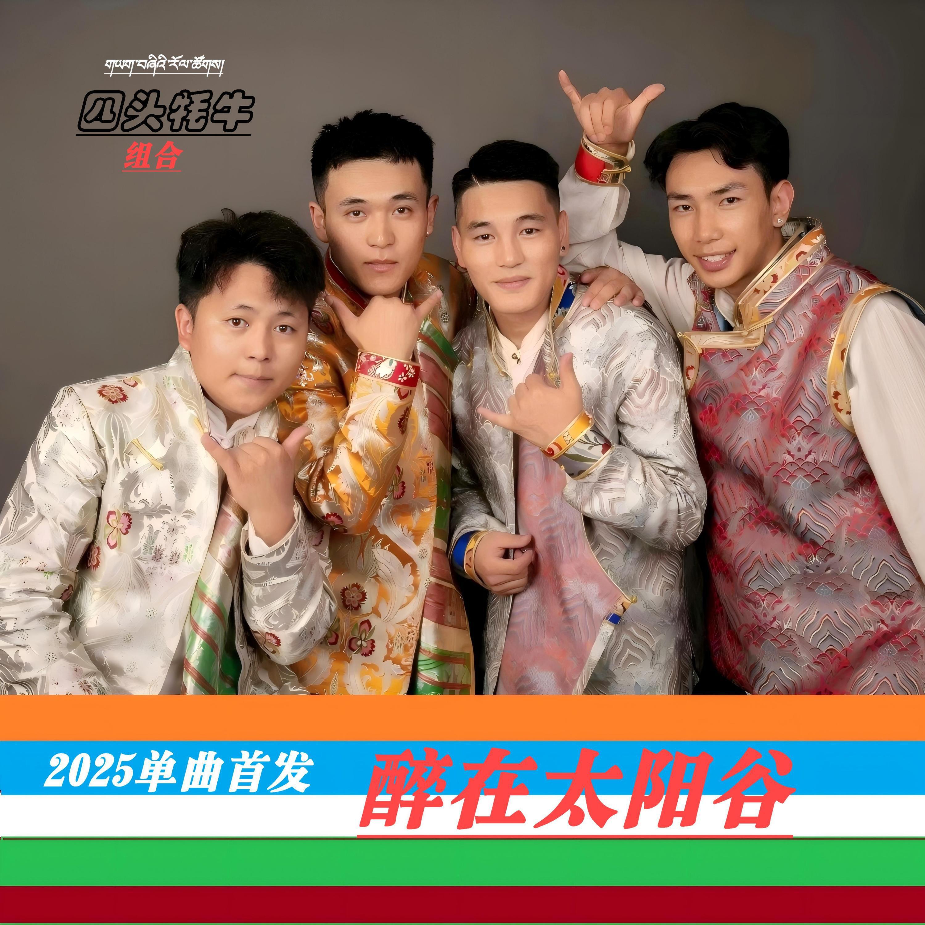 Релиз 醉在太阳谷