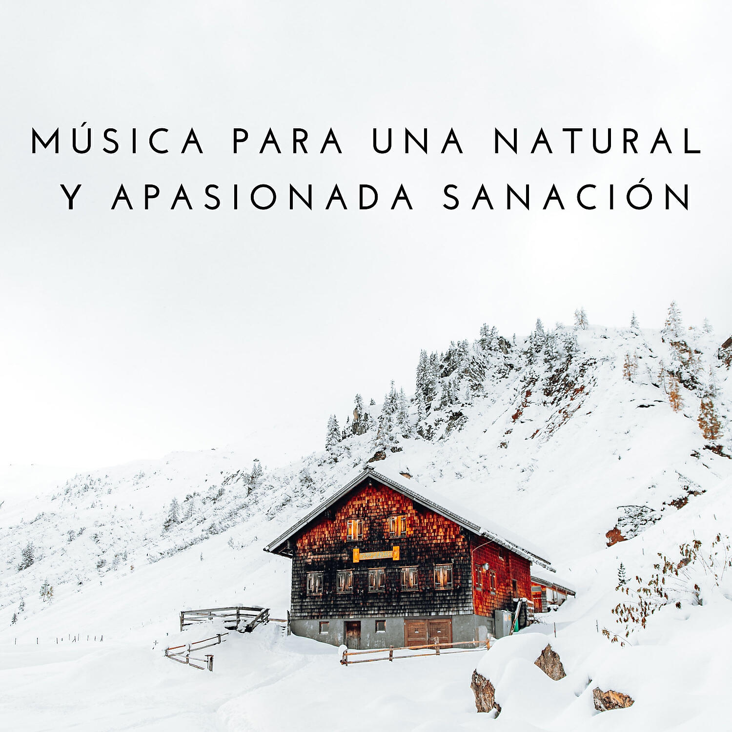 Релиз Música Para Una Natural Y Apasionada Sanación