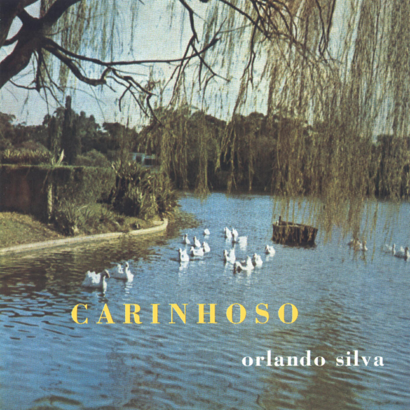 Релиз Carinhoso