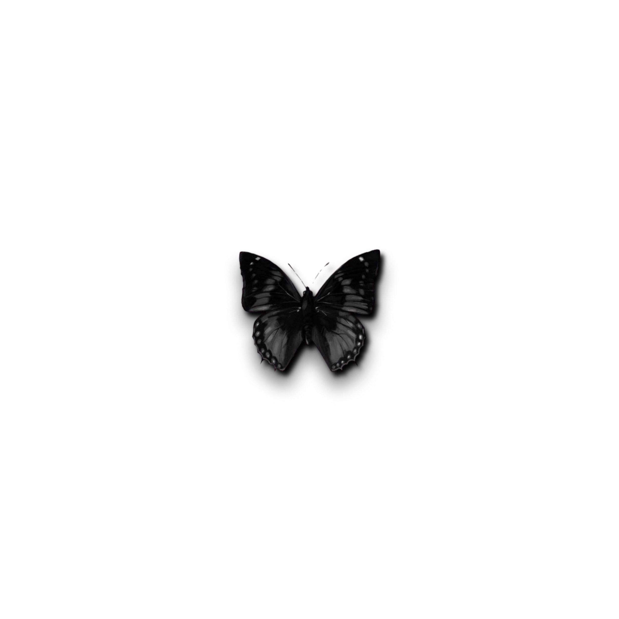 Релиз Мотылёк (HILLYSAM Remix)