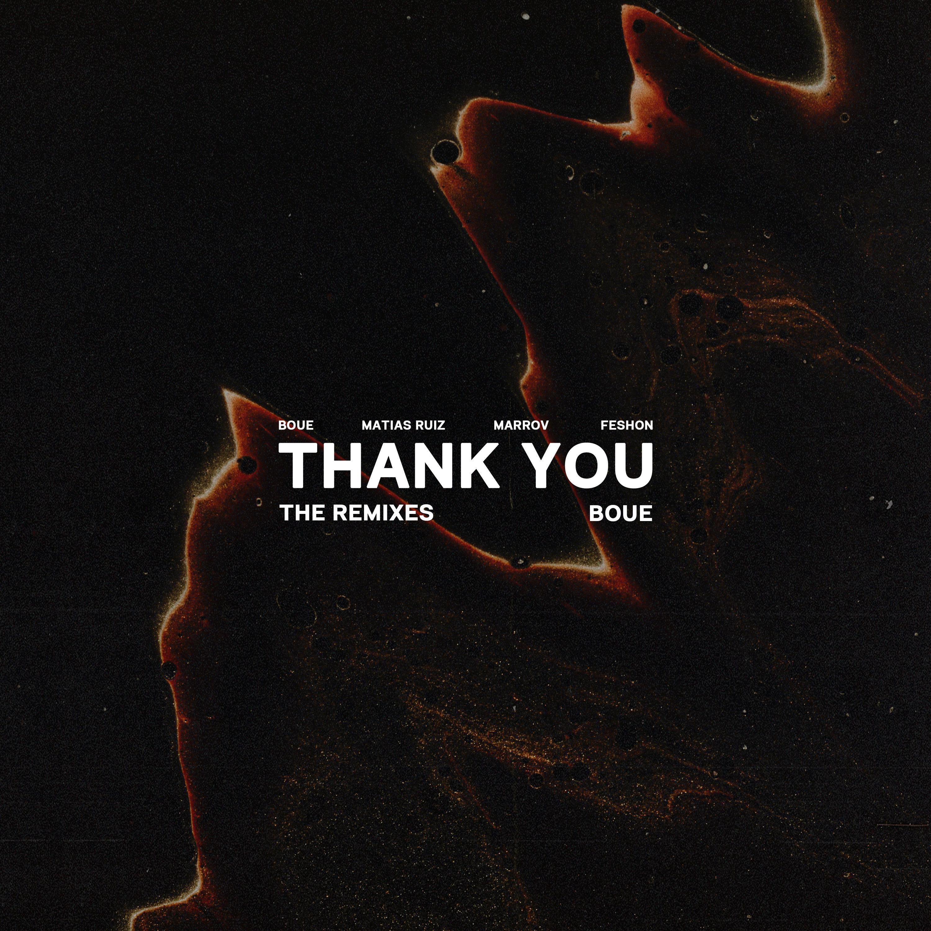 Релиз Thank You (Remixes)