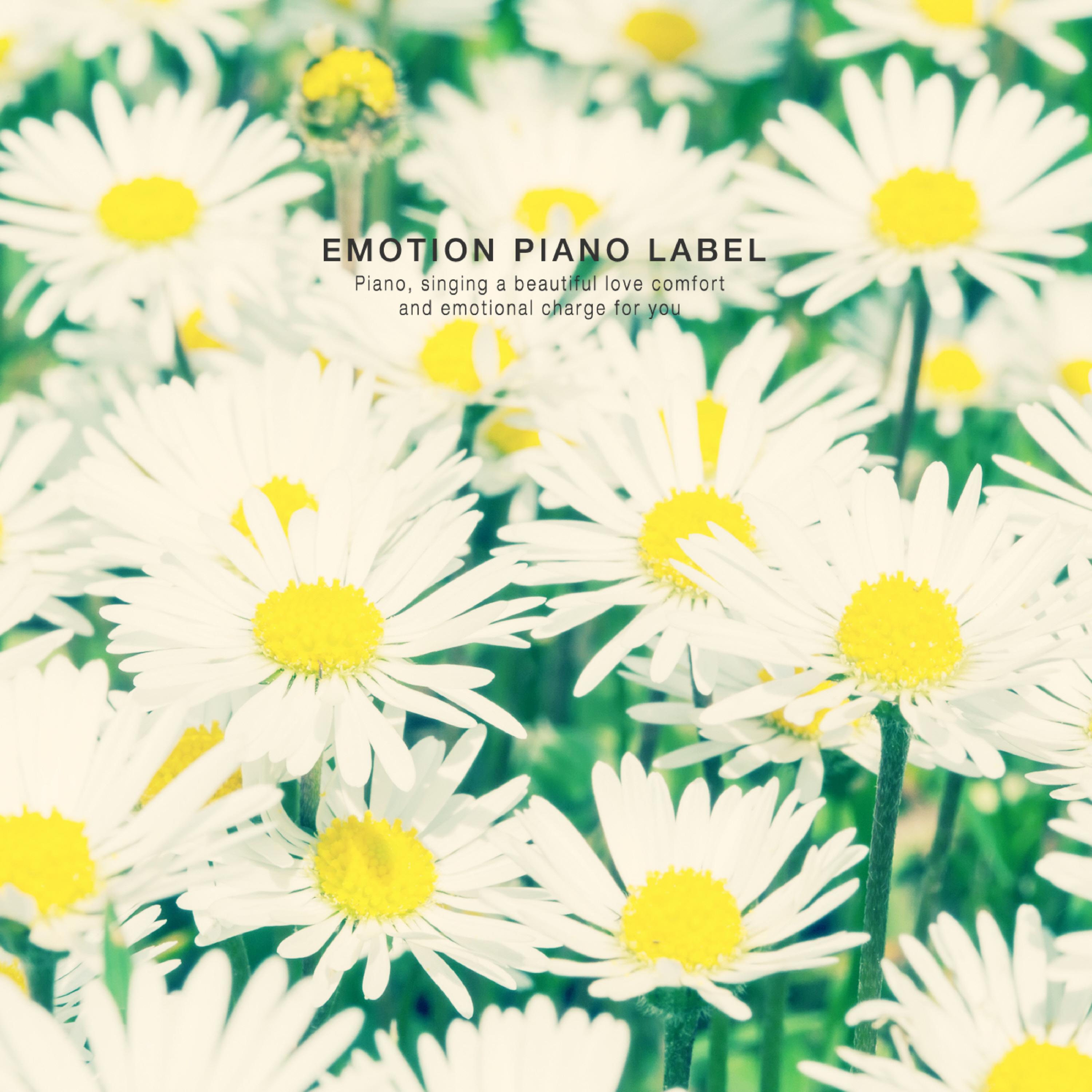 Релиз Sensational New Age Piano Collection