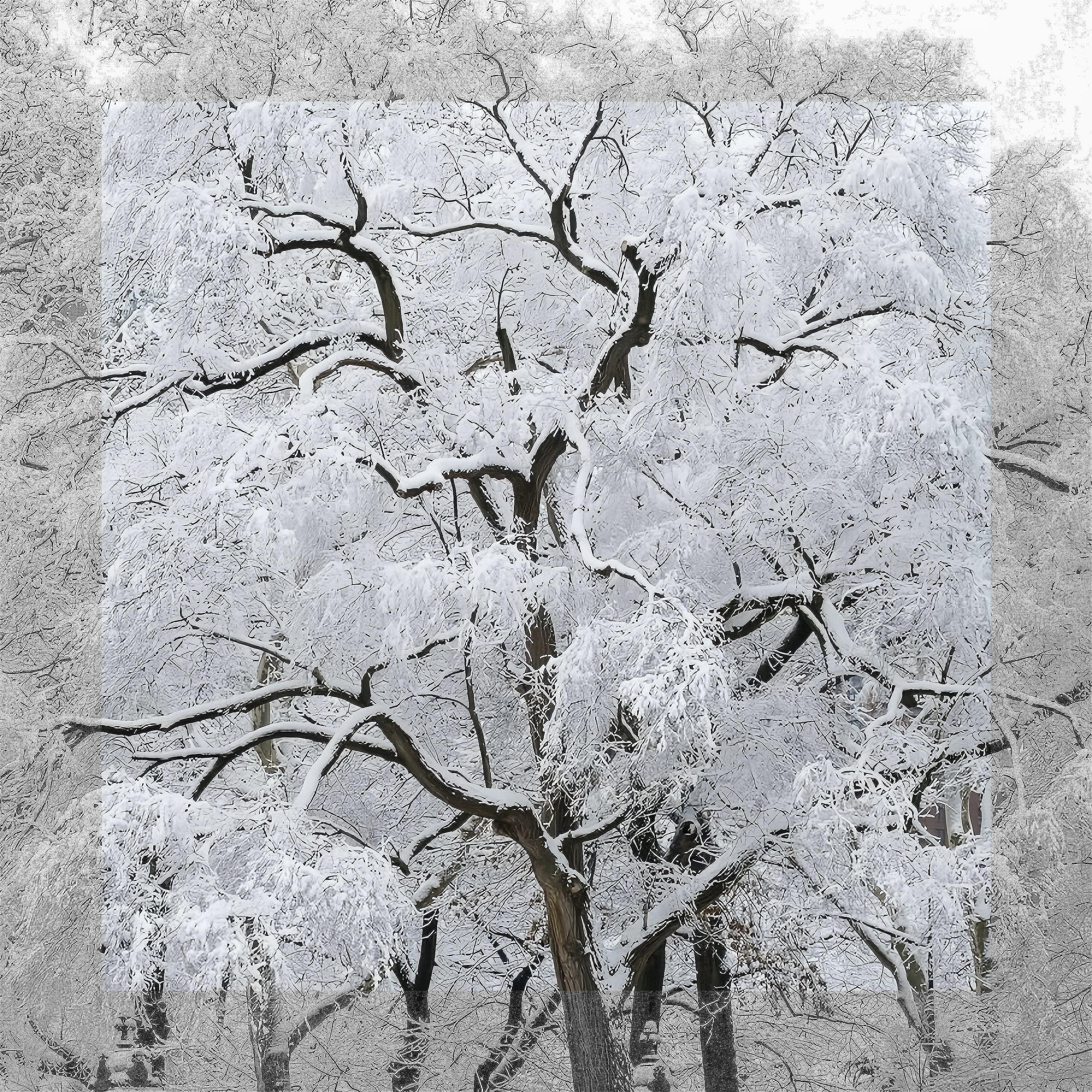 Venoflame
