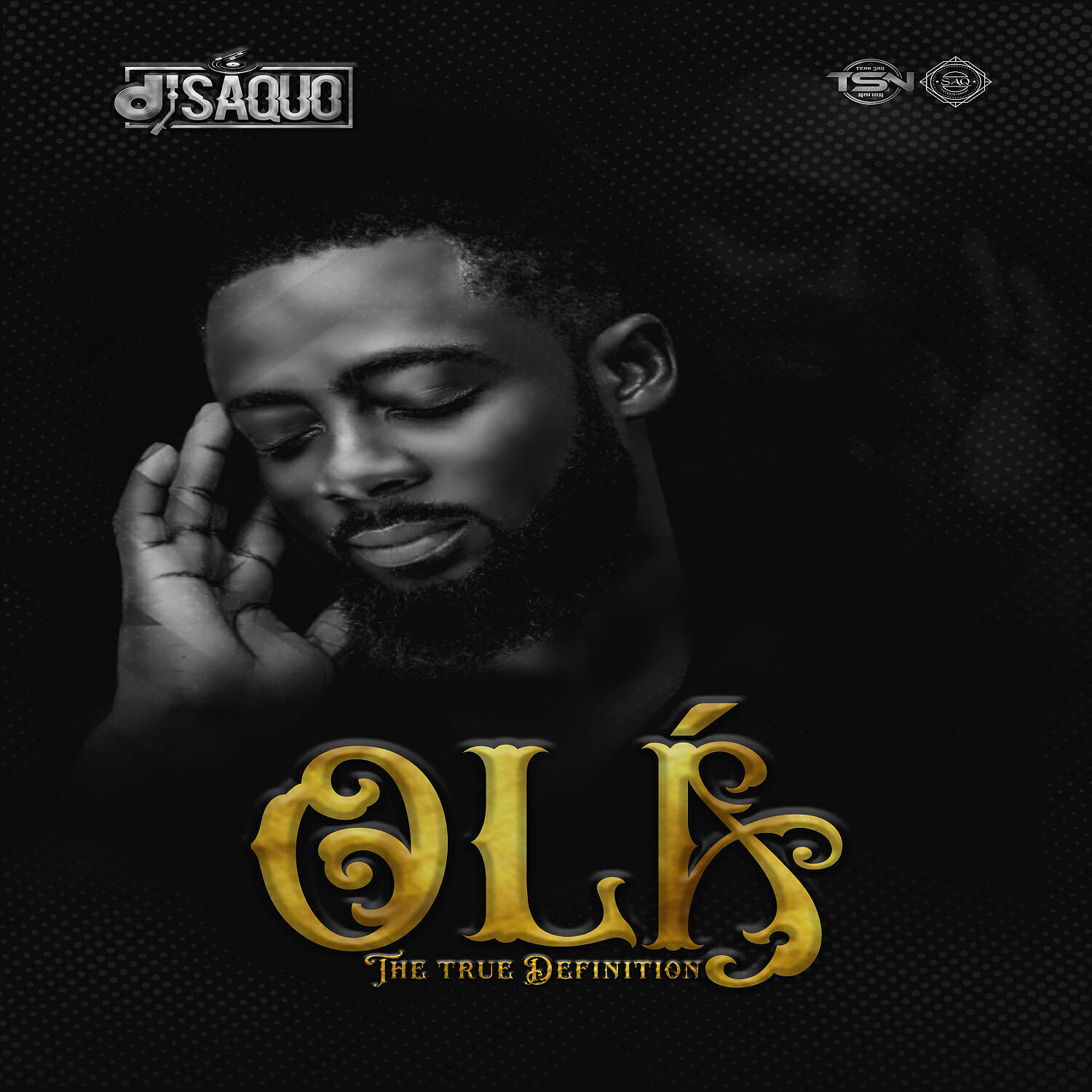 Релиз OLÁ The True Definition (OTTD)